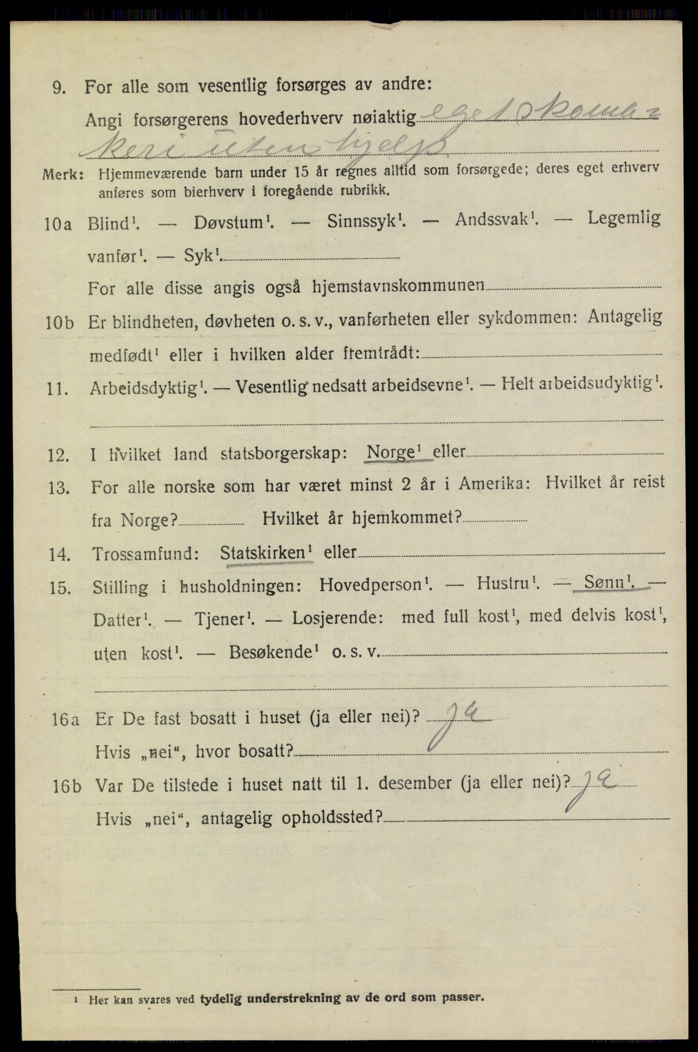 SAO, 1920 census for Høland, 1920, p. 9096