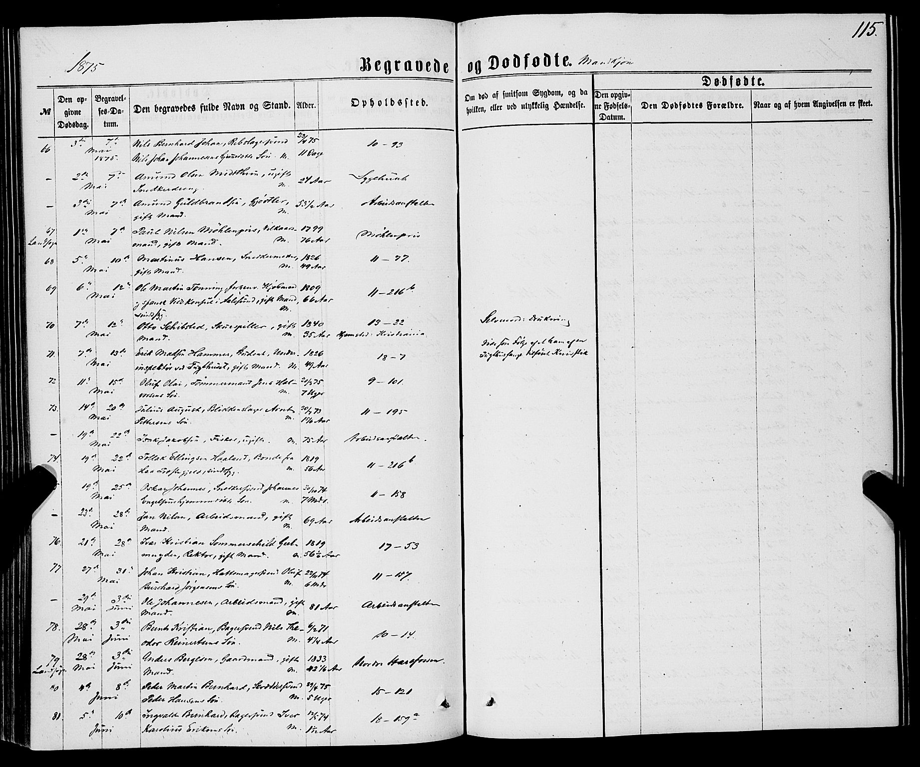 Domkirken sokneprestembete, AV/SAB-A-74801/H/Haa/L0042: Parish register (official) no. E 3, 1863-1876, p. 115