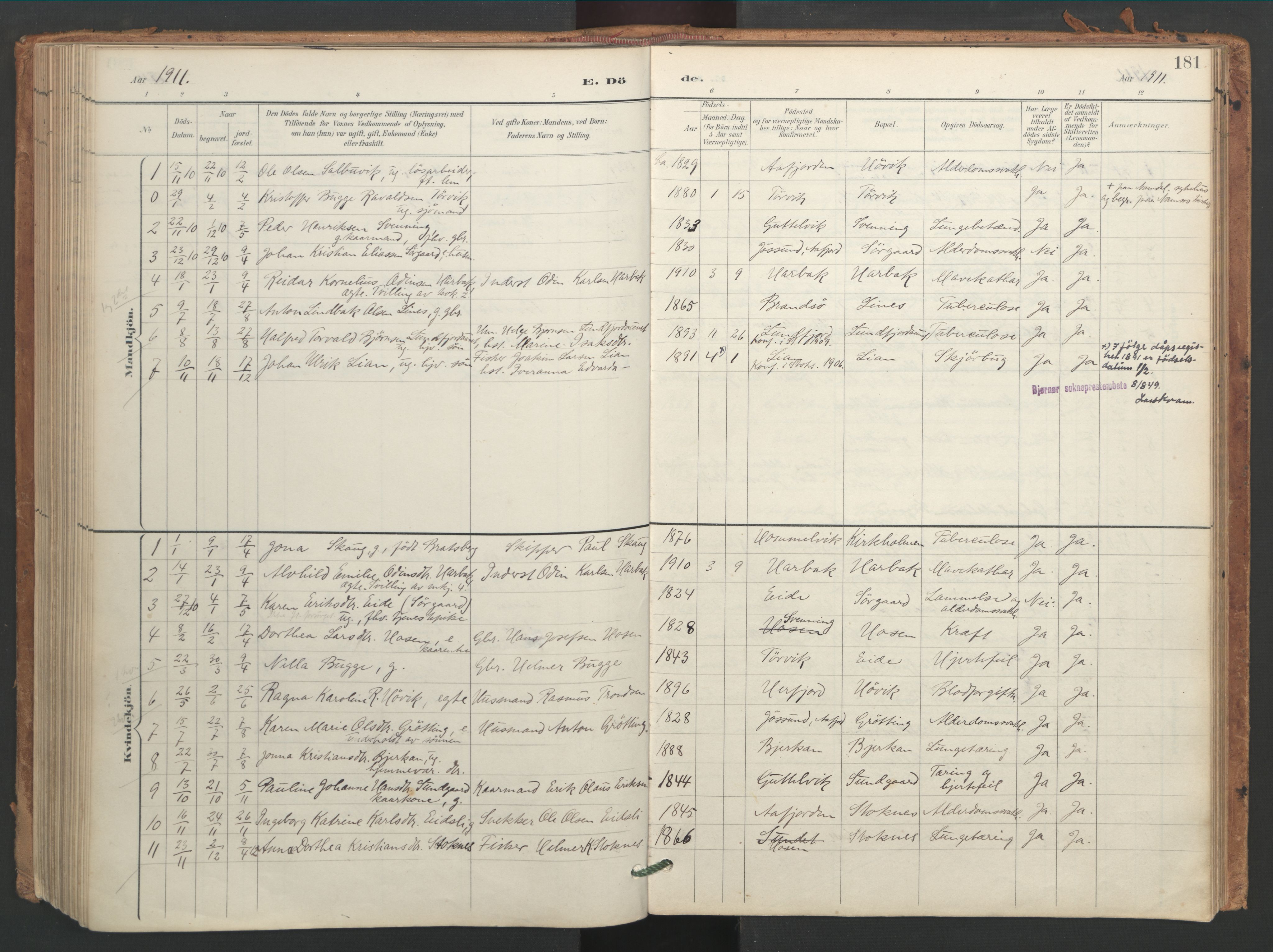 Ministerialprotokoller, klokkerbøker og fødselsregistre - Sør-Trøndelag, SAT/A-1456/656/L0693: Parish register (official) no. 656A02, 1894-1913, p. 181