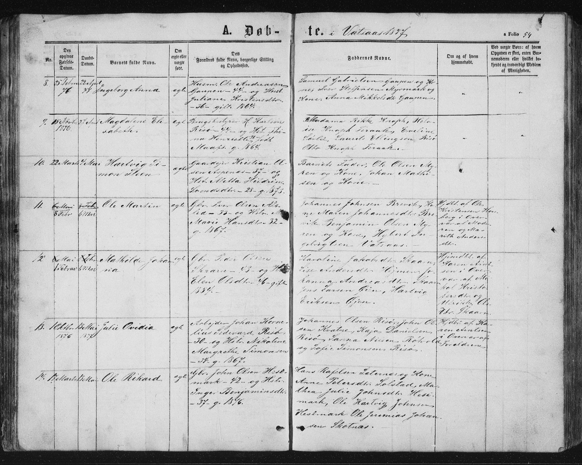 Ministerialprotokoller, klokkerbøker og fødselsregistre - Nordland, AV/SAT-A-1459/810/L0158: Parish register (copy) no. 810C02 /1, 1863-1883, p. 54