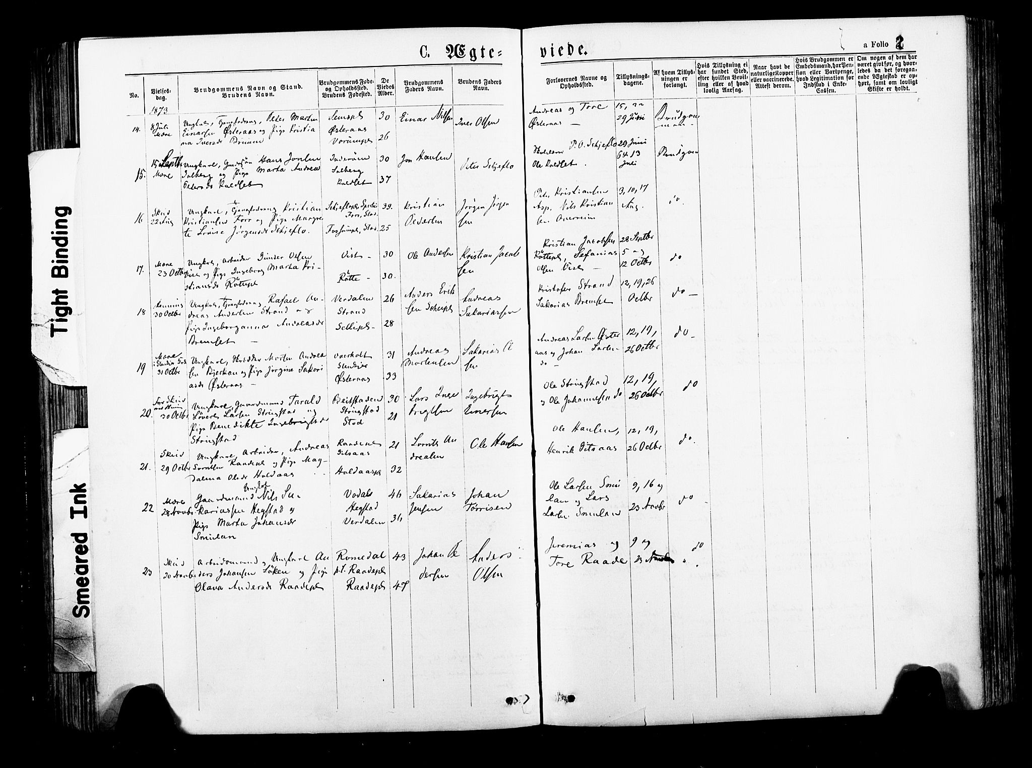Ministerialprotokoller, klokkerbøker og fødselsregistre - Nord-Trøndelag, SAT/A-1458/735/L0348: Parish register (official) no. 735A09 /1, 1873-1883, p. 2