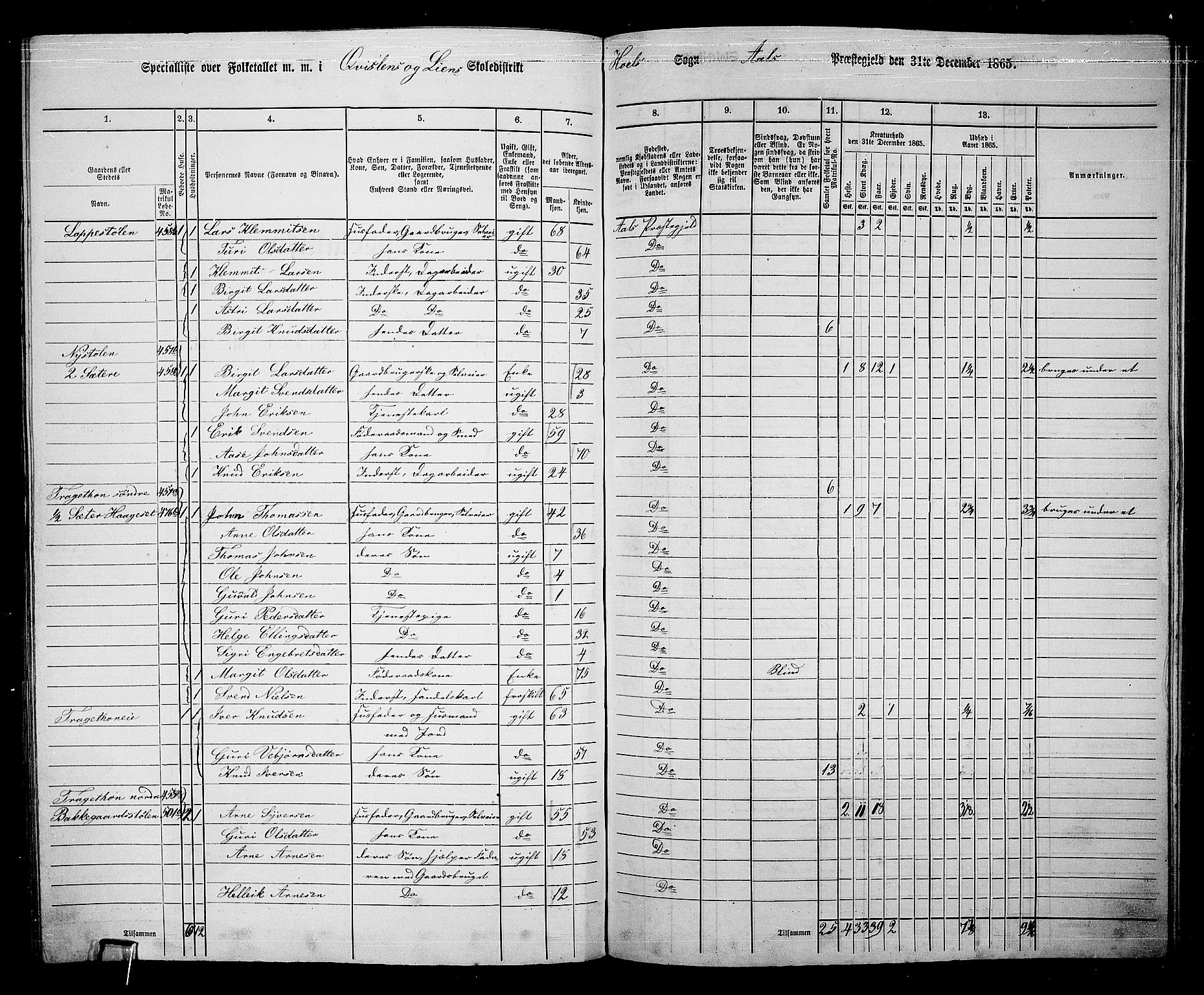 RA, 1865 census for Ål, 1865, p. 226