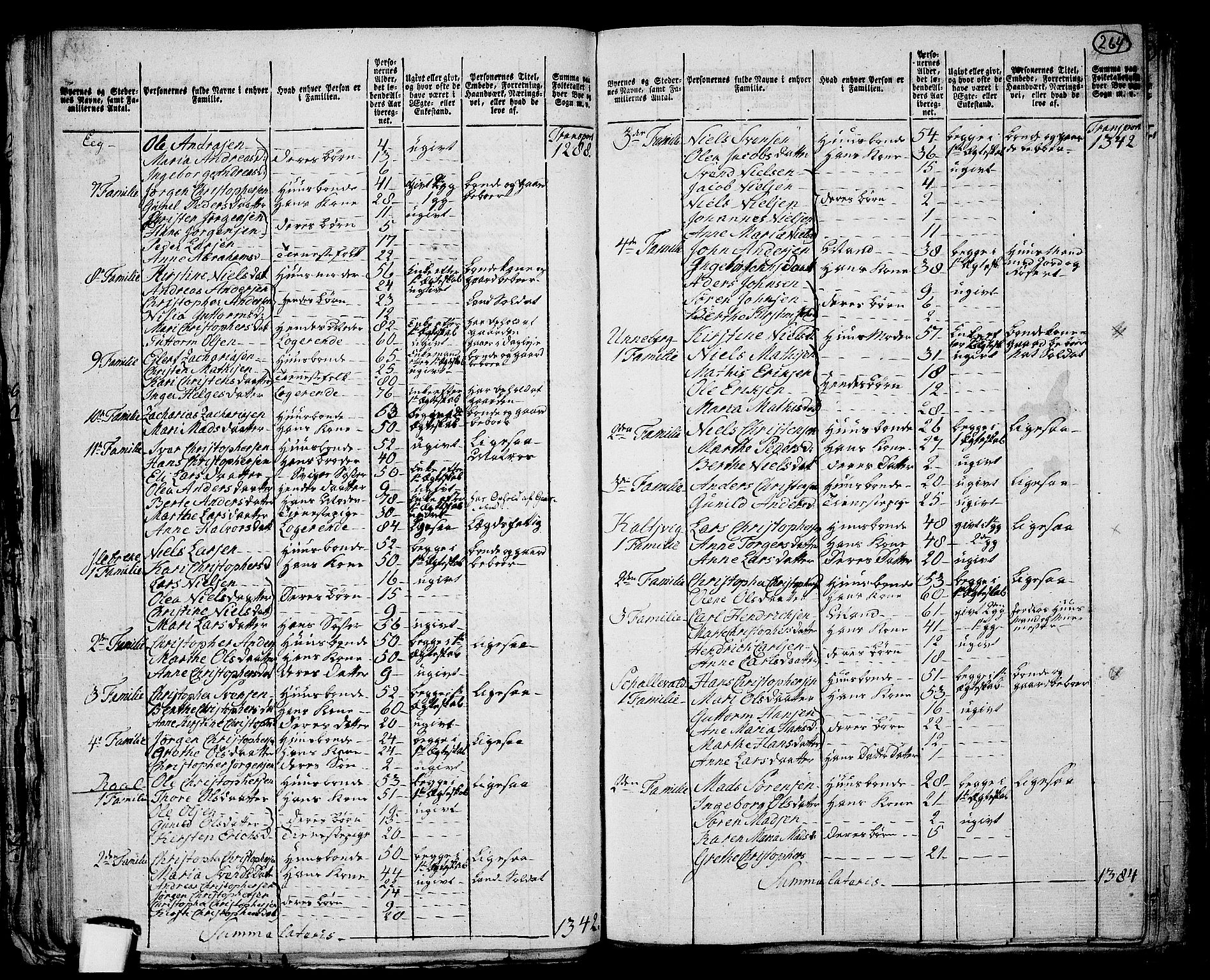 RA, 1801 census for 0721P Sem, 1801, p. 263b-264a