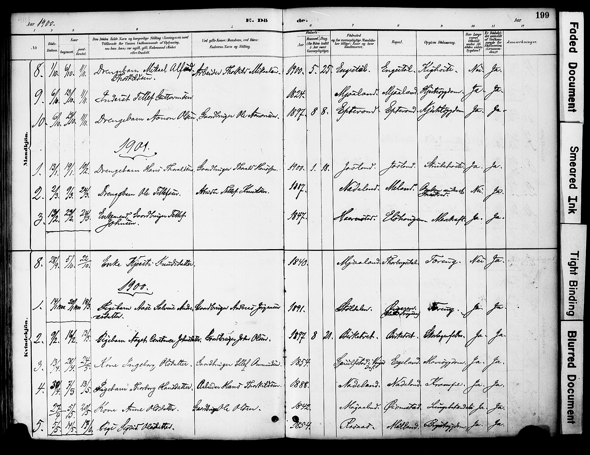 Evje sokneprestkontor, AV/SAK-1111-0008/F/Fa/Fac/L0003: Parish register (official) no. A 3, 1884-1909, p. 199