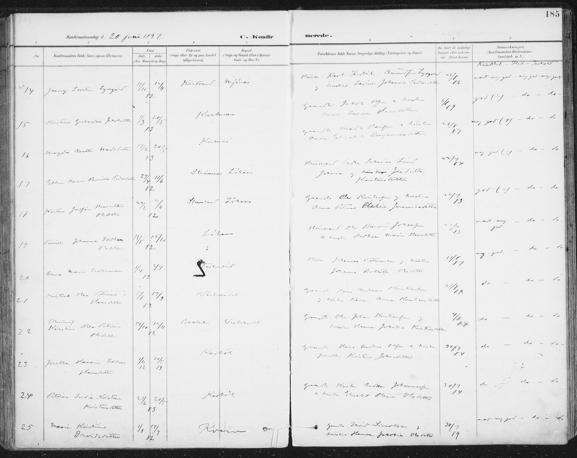 Ministerialprotokoller, klokkerbøker og fødselsregistre - Nordland, AV/SAT-A-1459/852/L0741: Parish register (official) no. 852A11, 1894-1917, p. 185