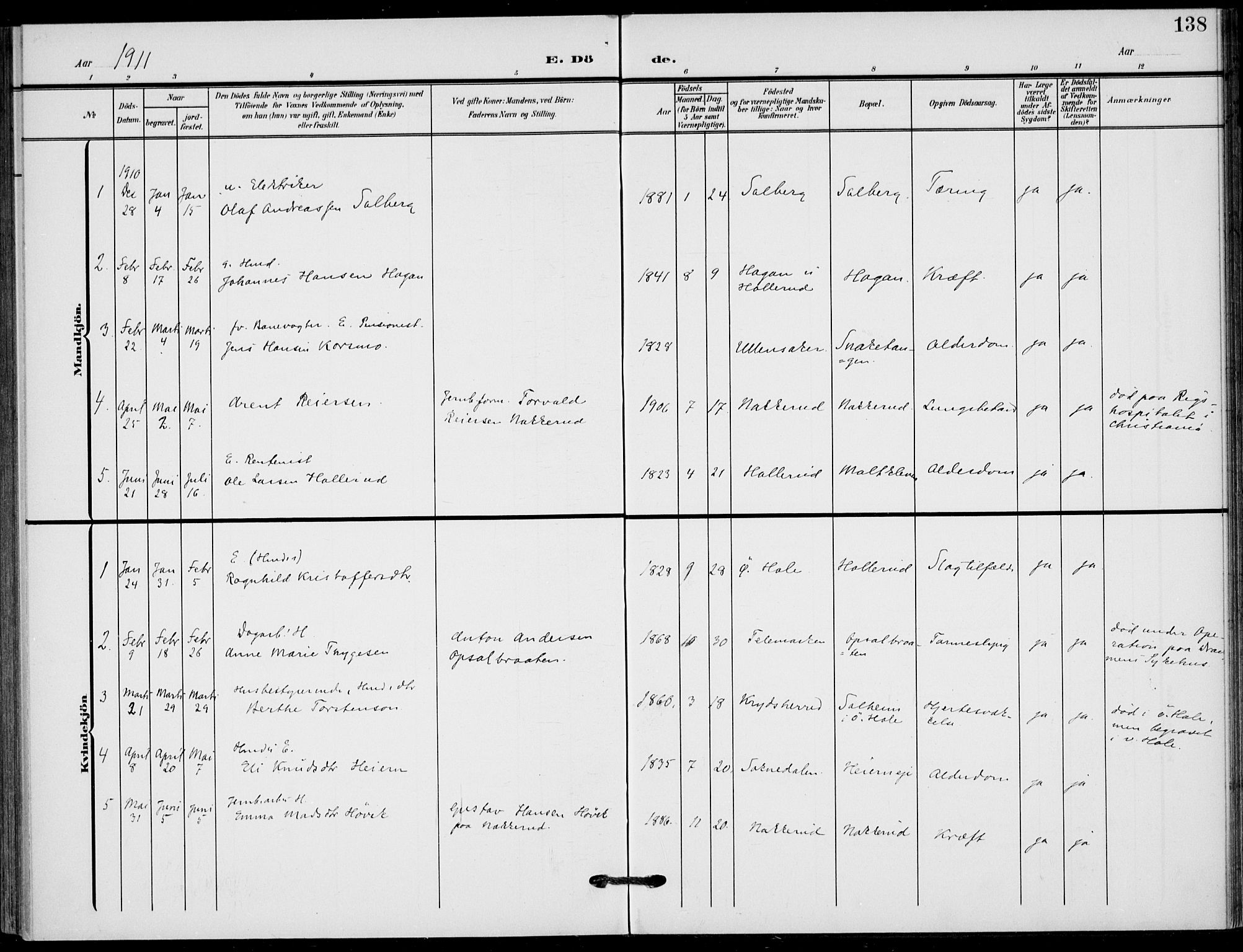 Hole kirkebøker, SAKO/A-228/F/Fb/L0003: Parish register (official) no. II 3, 1906-1916, p. 138