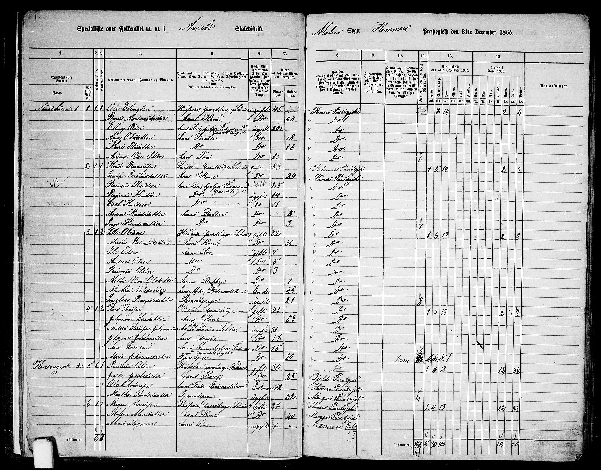 RA, 1865 census for Hamre, 1865, p. 15