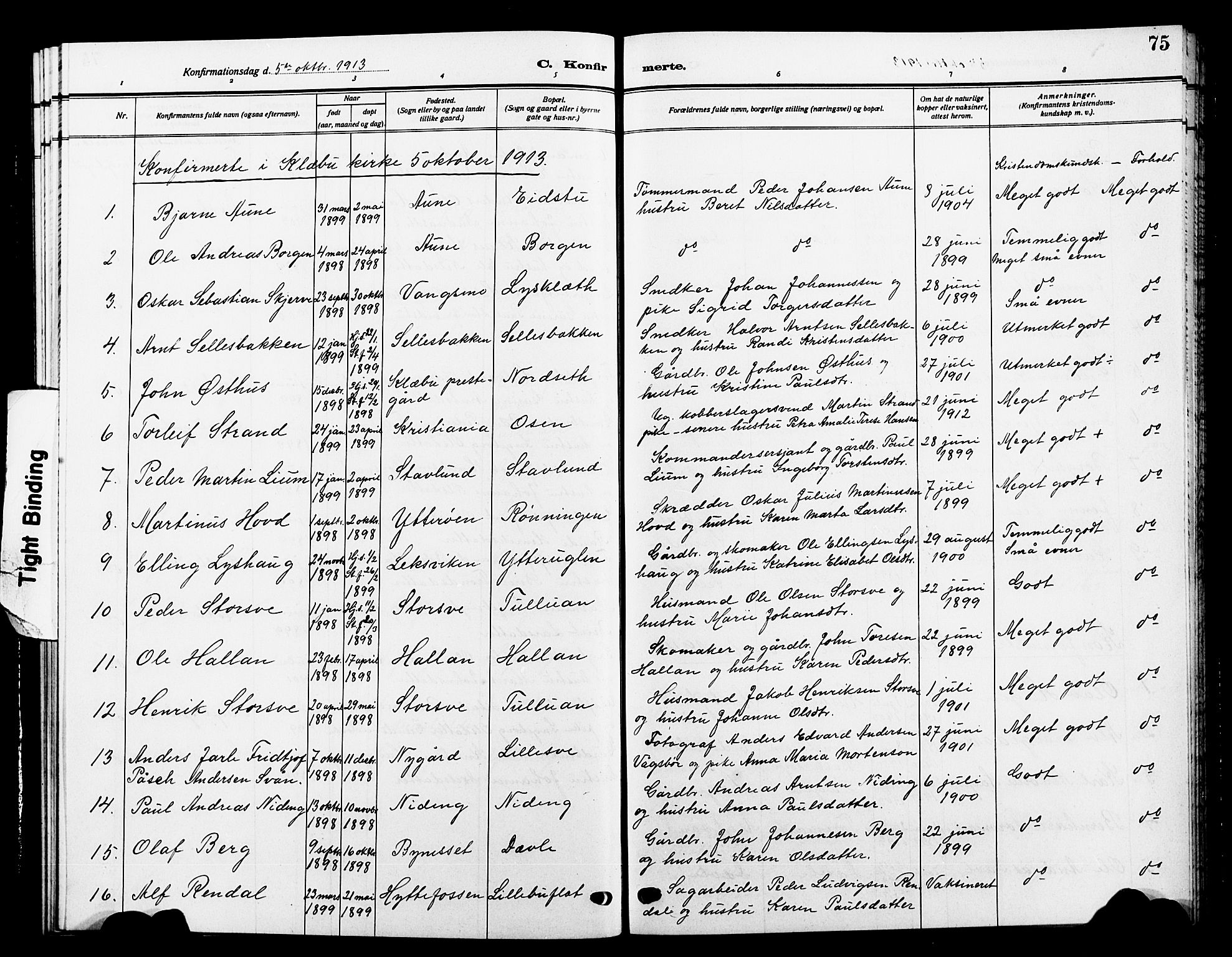 Ministerialprotokoller, klokkerbøker og fødselsregistre - Sør-Trøndelag, SAT/A-1456/618/L0453: Parish register (copy) no. 618C04, 1907-1925, p. 75