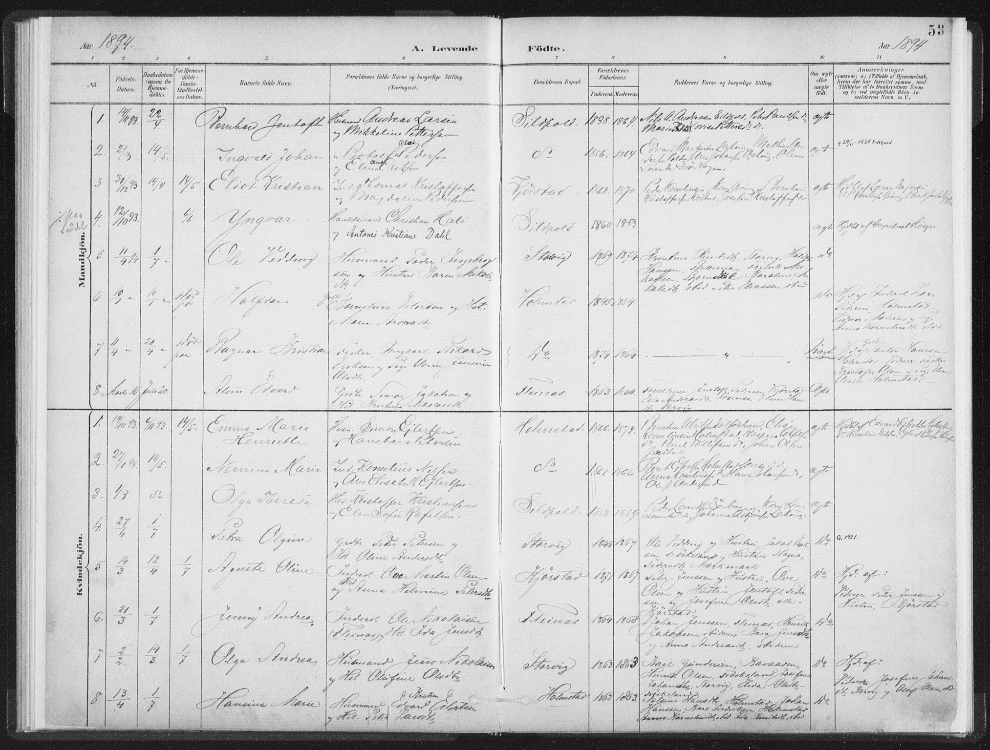 Ministerialprotokoller, klokkerbøker og fødselsregistre - Nordland, SAT/A-1459/890/L1286: Parish register (official) no. 890A01, 1882-1902, p. 53