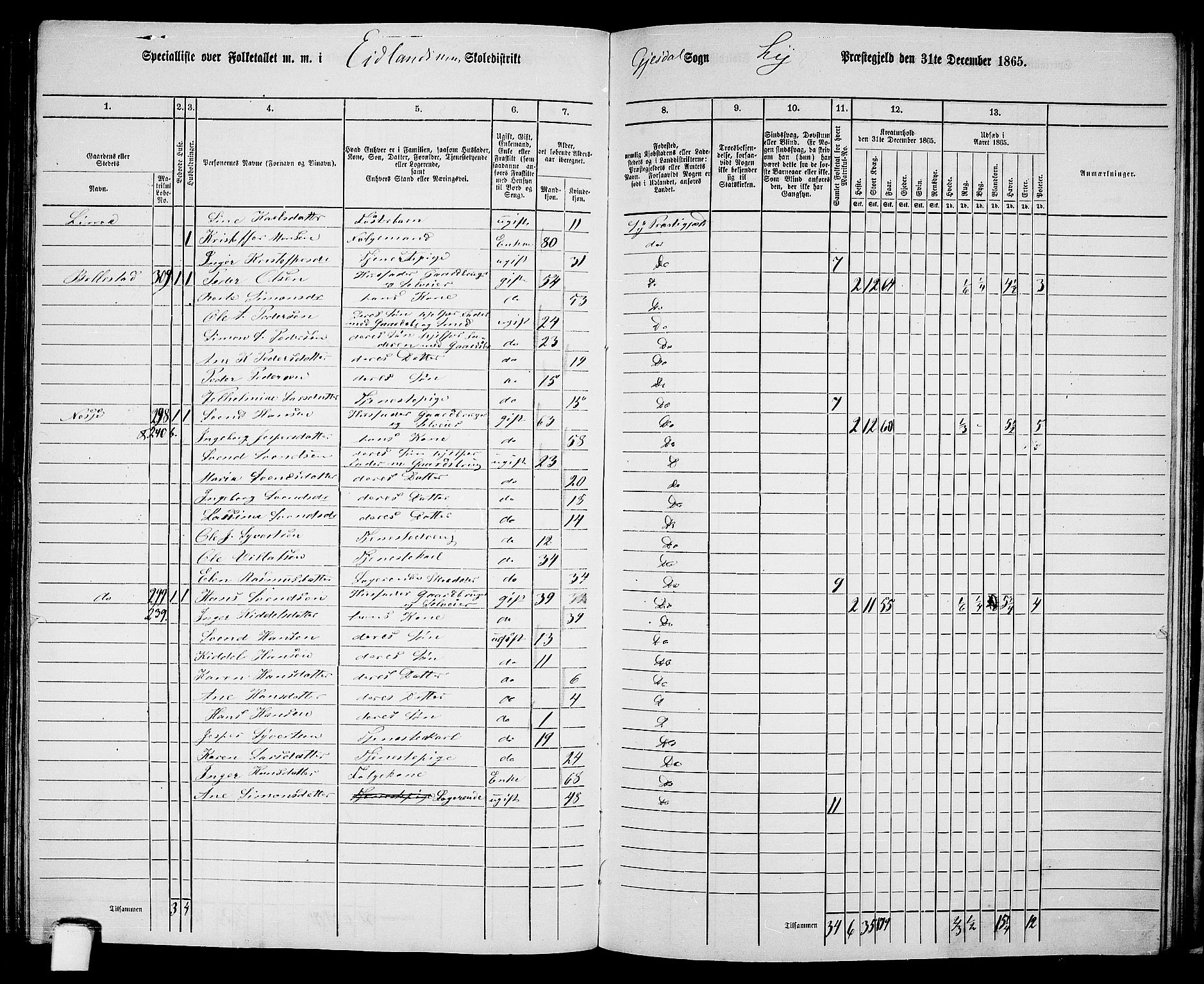 RA, 1865 census for Lye, 1865, p. 123