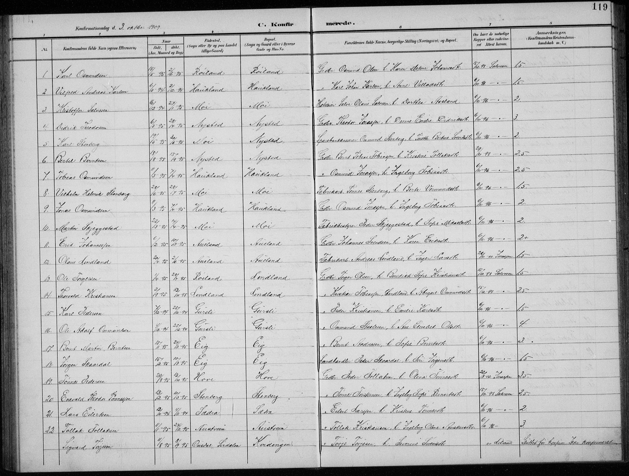 Lund sokneprestkontor, AV/SAST-A-101809/S07/L0008: Parish register (copy) no. B 8, 1902-1936, p. 119