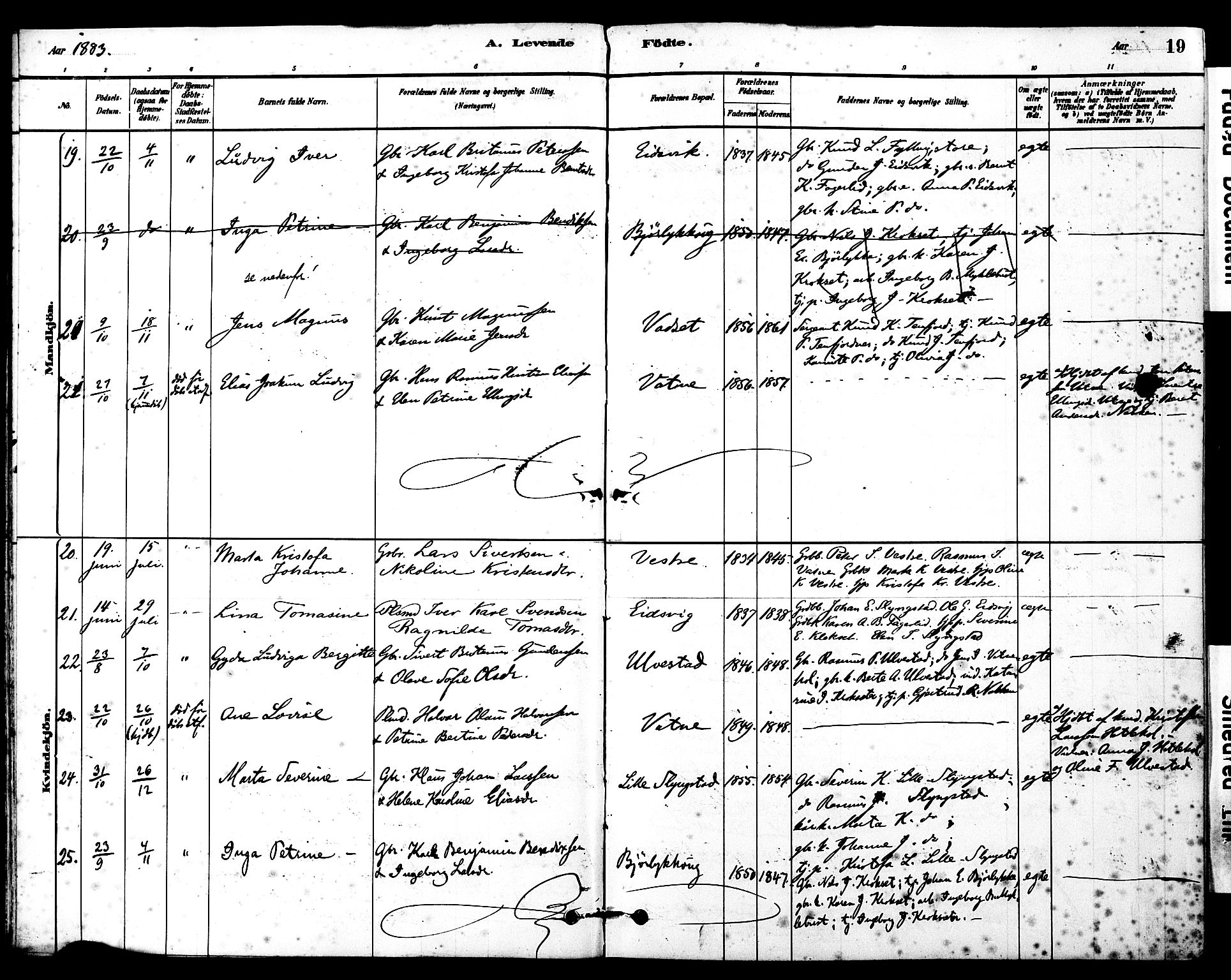 Ministerialprotokoller, klokkerbøker og fødselsregistre - Møre og Romsdal, SAT/A-1454/525/L0374: Parish register (official) no. 525A04, 1880-1899, p. 19