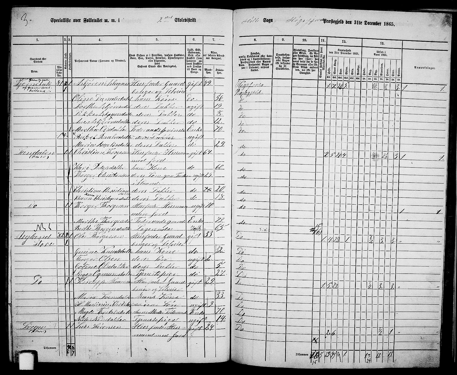 RA, 1865 census for Høgsfjord, 1865, p. 129