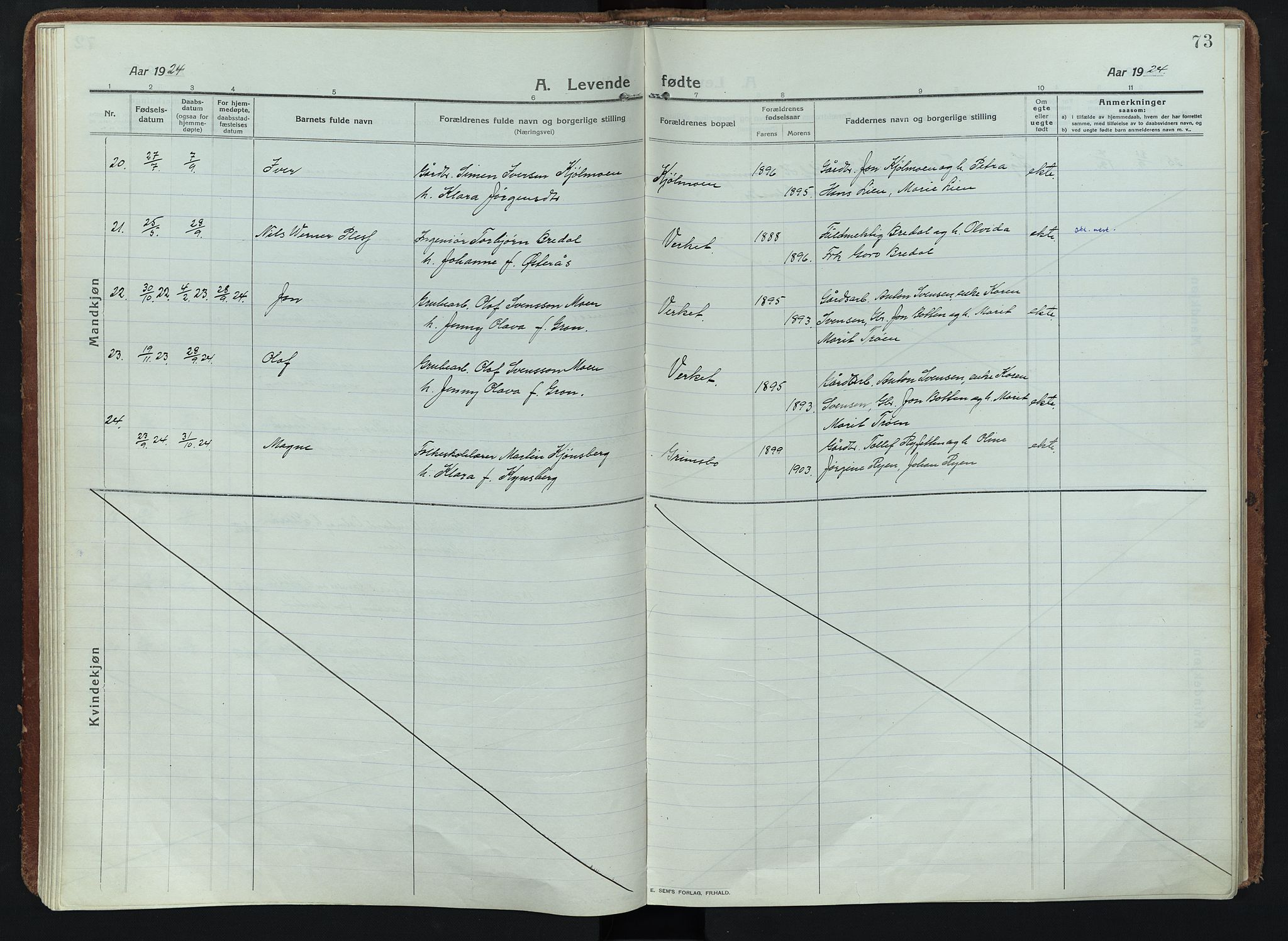 Alvdal prestekontor, AV/SAH-PREST-060/H/Ha/Haa/L0005: Parish register (official) no. 5, 1913-1930, p. 73