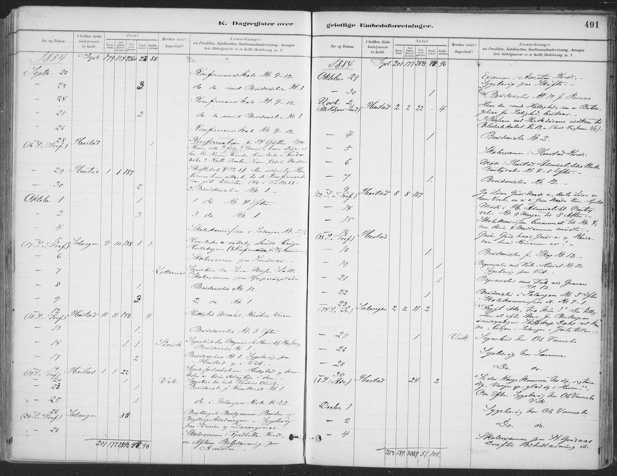 Ibestad sokneprestembete, SATØ/S-0077/H/Ha/Haa/L0011kirke: Parish register (official) no. 11, 1880-1889, p. 491
