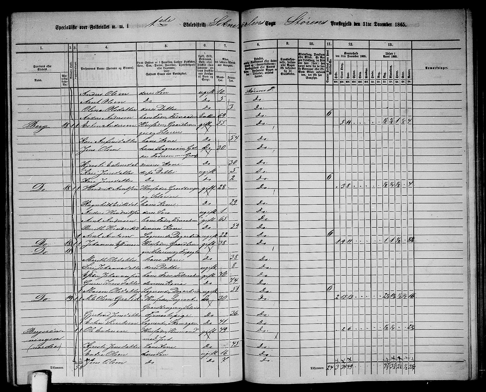 RA, 1865 census for Støren, 1865, p. 223