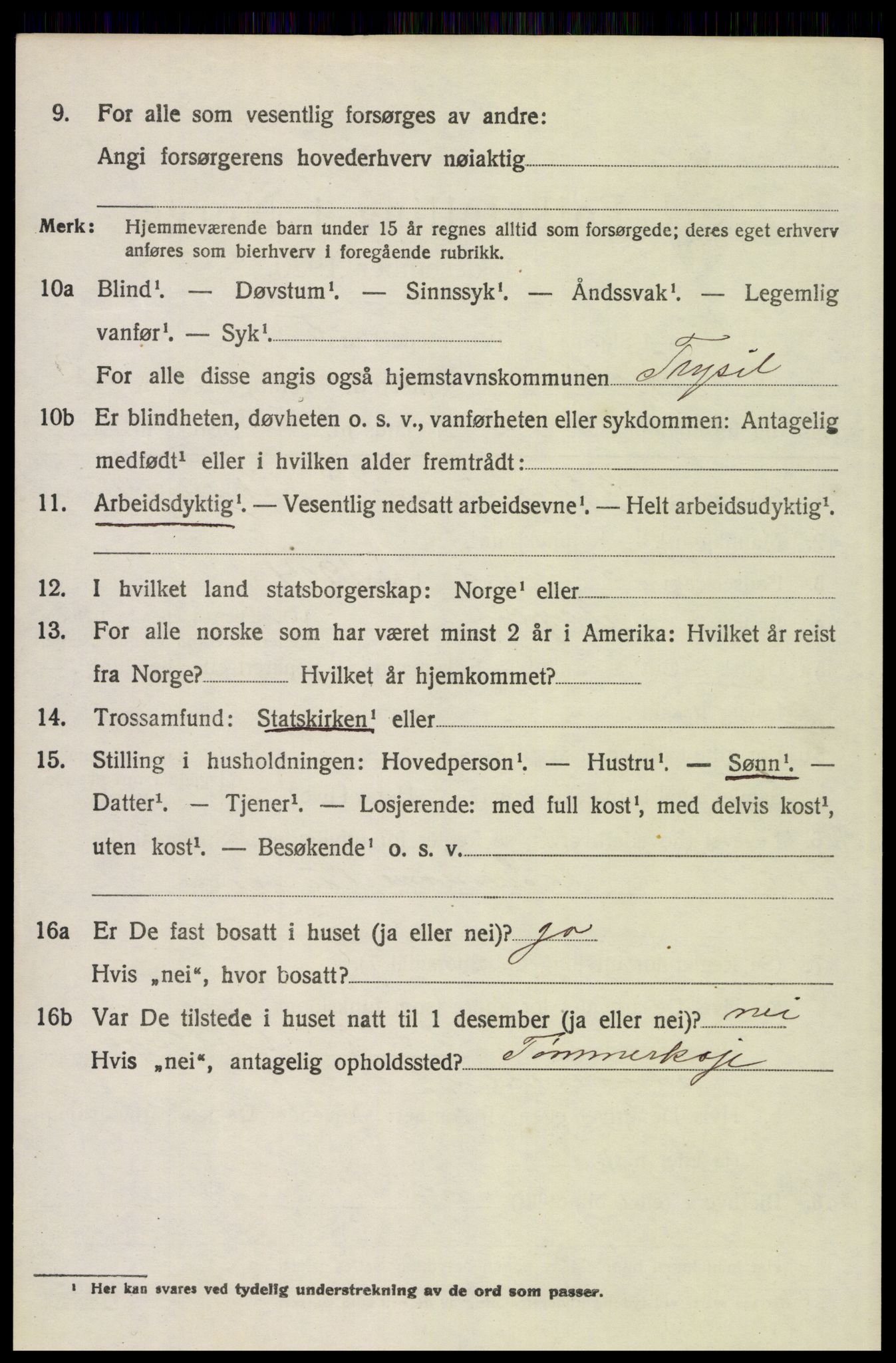 SAH, 1920 census for Trysil, 1920, p. 8806