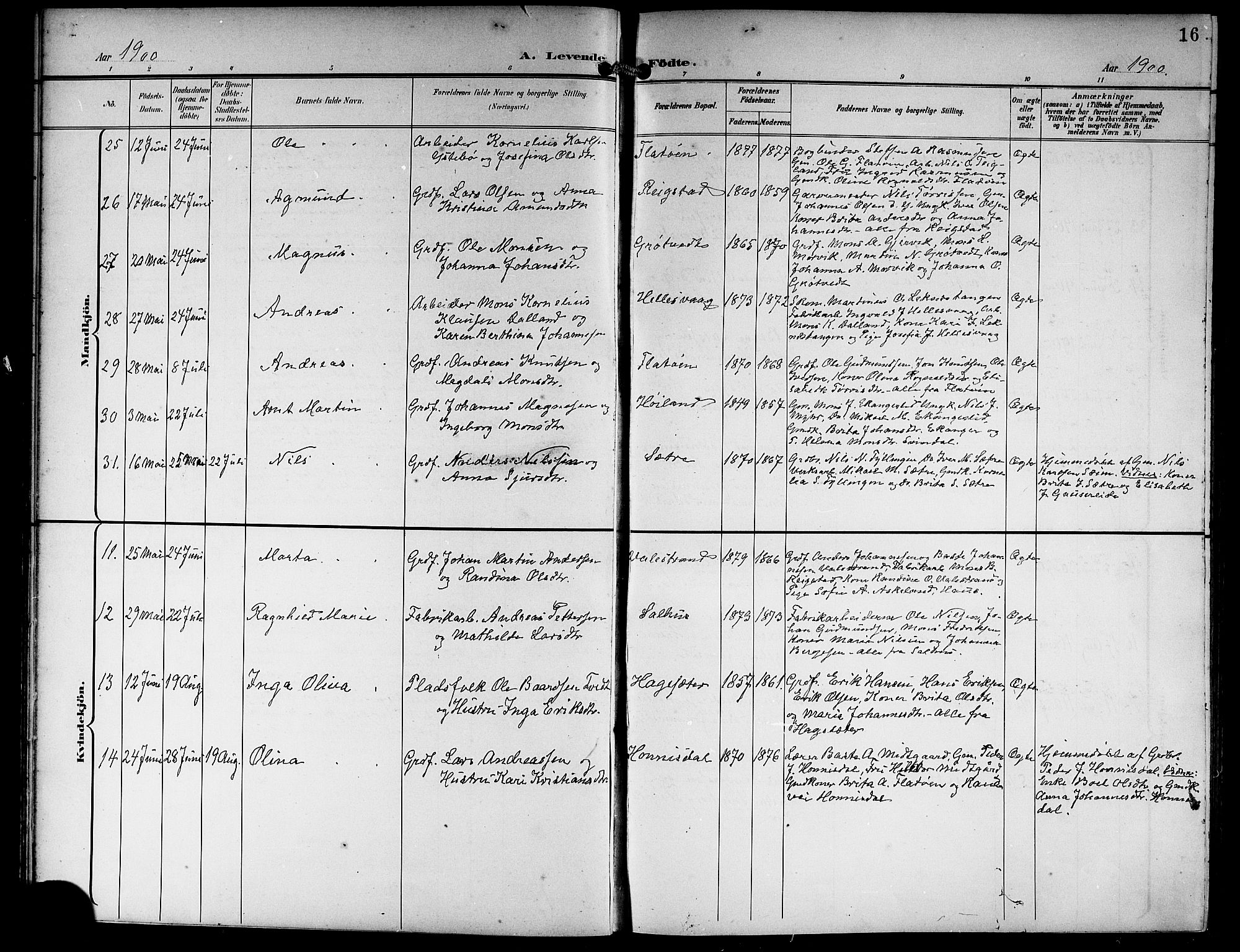 Hamre sokneprestembete, AV/SAB-A-75501/H/Ha/Hab: Parish register (copy) no. B 4, 1898-1919, p. 16