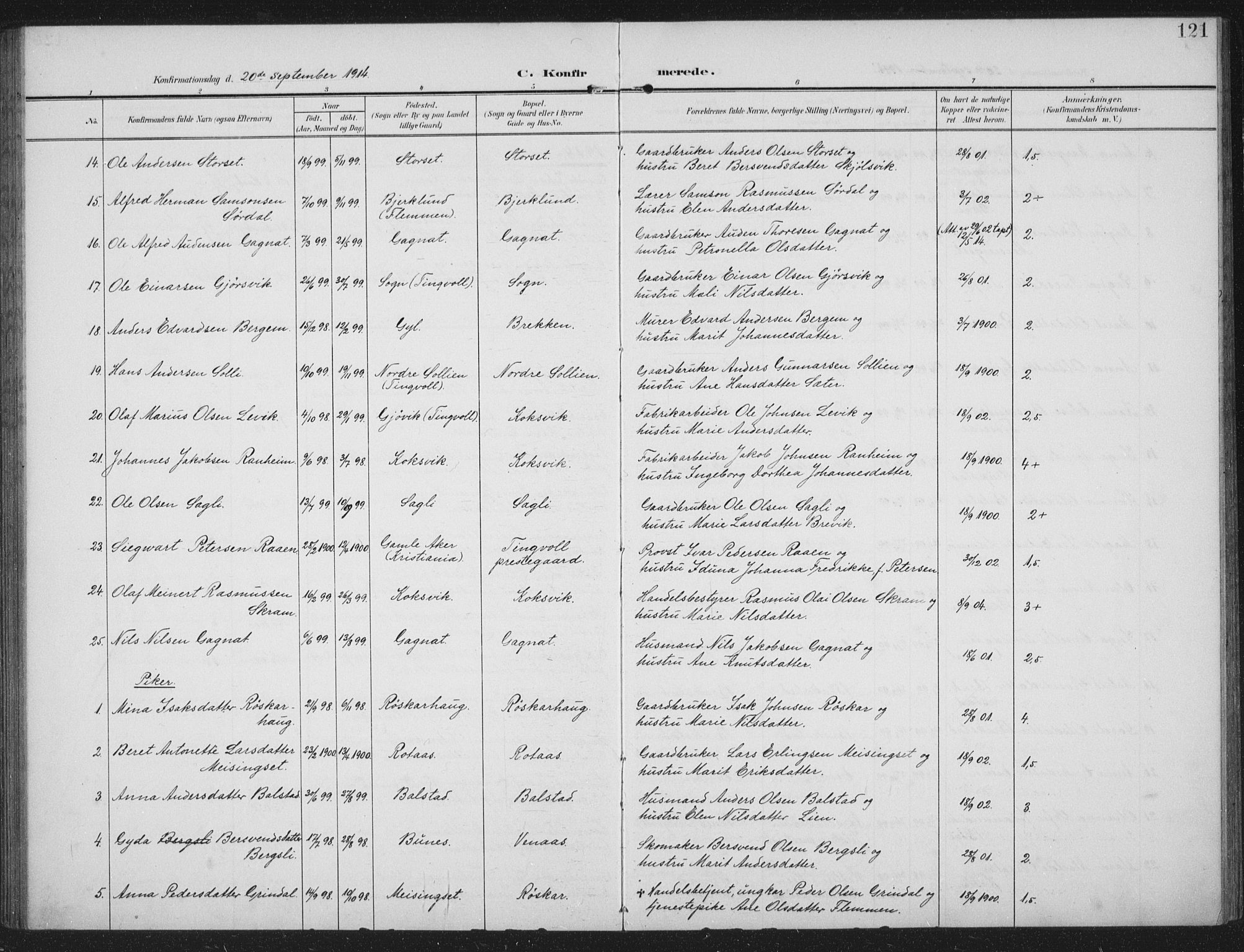 Ministerialprotokoller, klokkerbøker og fødselsregistre - Møre og Romsdal, AV/SAT-A-1454/586/L0989: Parish register (official) no. 586A15, 1906-1915, p. 121