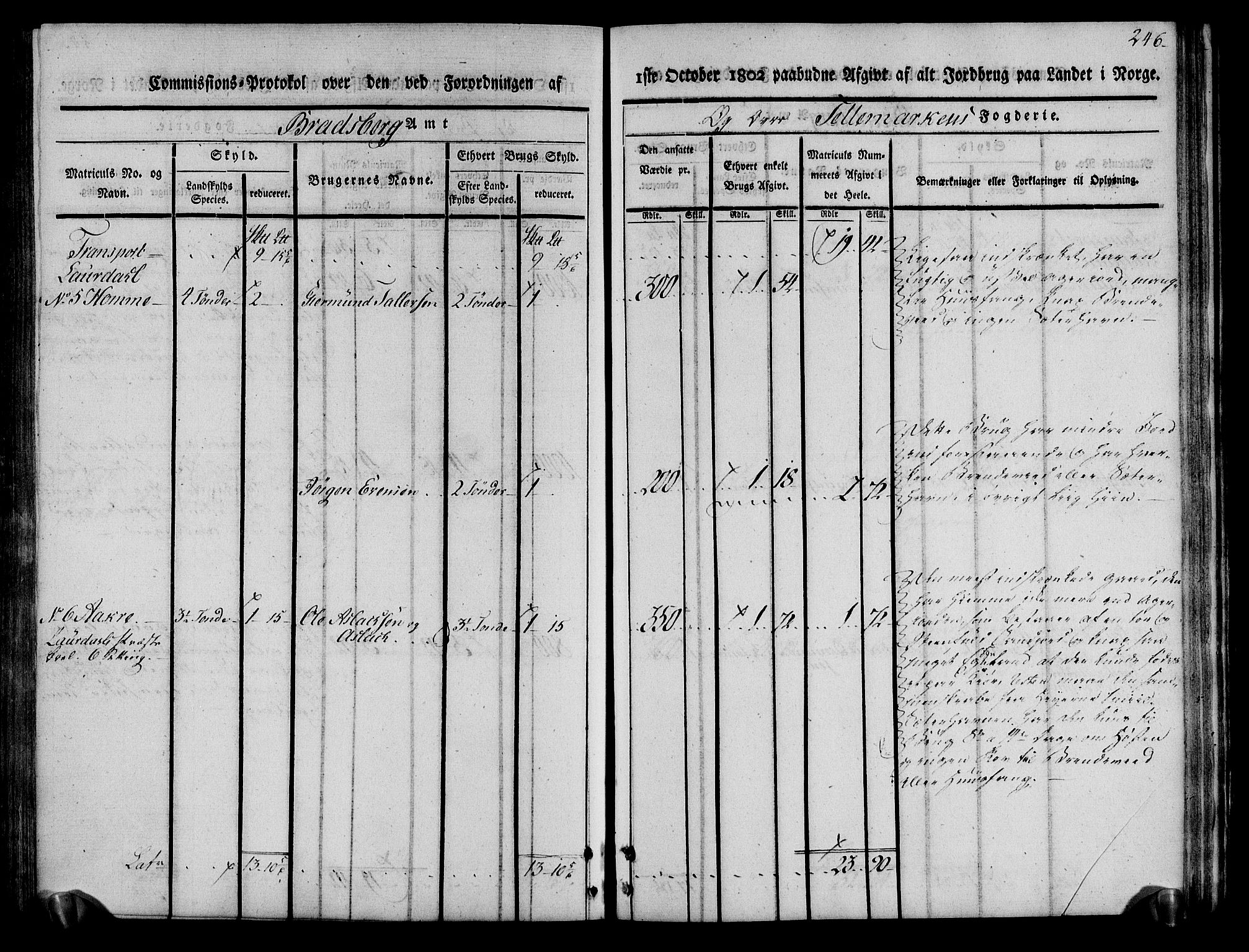 Rentekammeret inntil 1814, Realistisk ordnet avdeling, AV/RA-EA-4070/N/Ne/Nea/L0075: Øvre Telemarken fogderi. Kommisjonsprotokoll for fogderiets vestre del - Kviteseid, Vinje, Moland [):Fyresdal] og Lårdal prestegjeld., 1803, p. 248