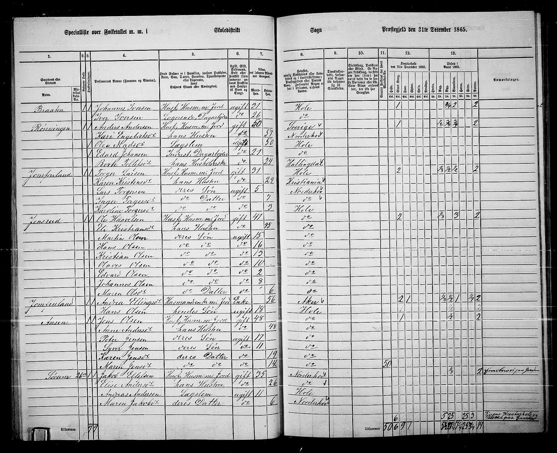 RA, 1865 census for Hole, 1865, p. 29