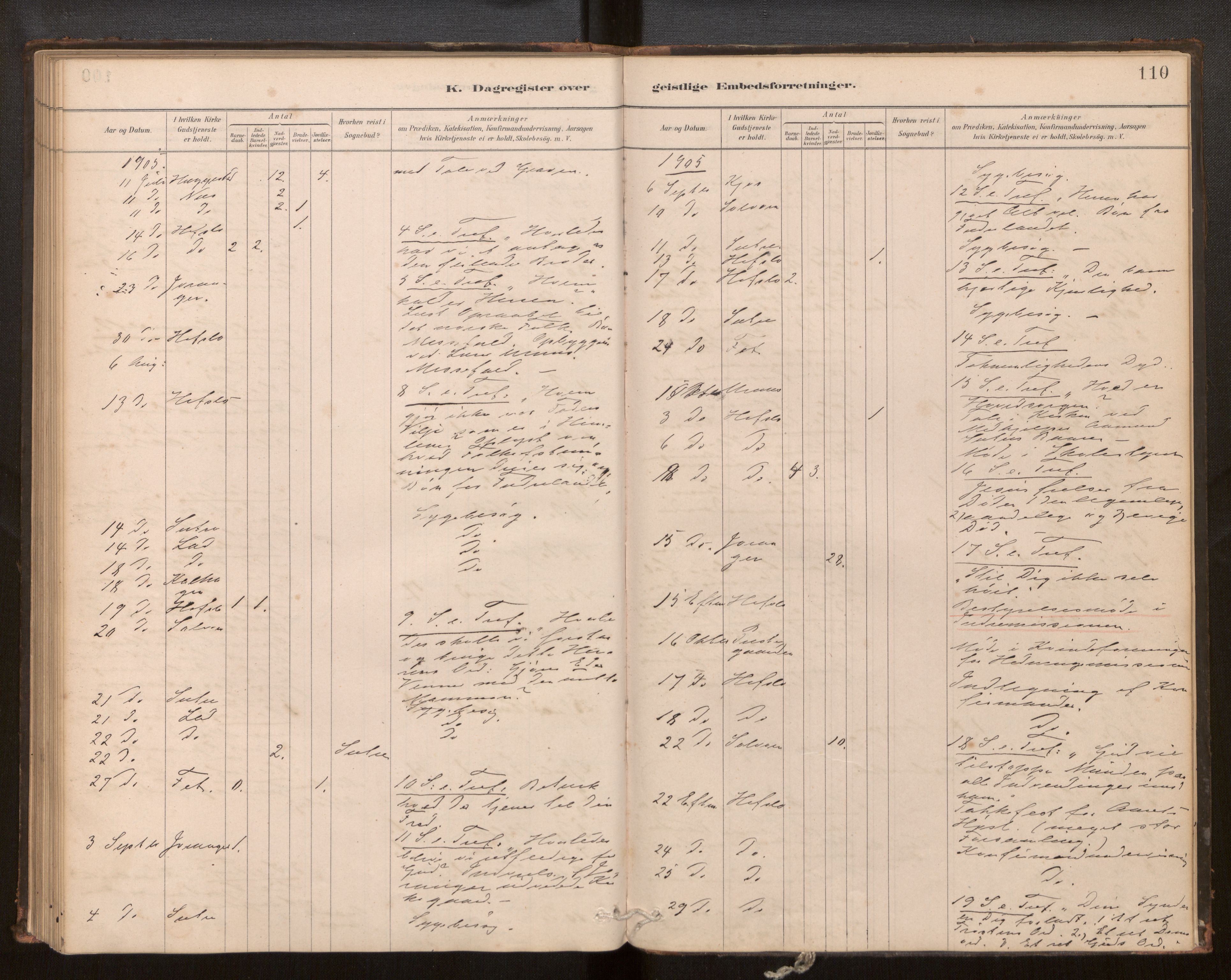 Hafslo sokneprestembete, SAB/A-80301/H/Haa/Haaf/L0003: Diary records no. F 3, 1879-1909, p. 110