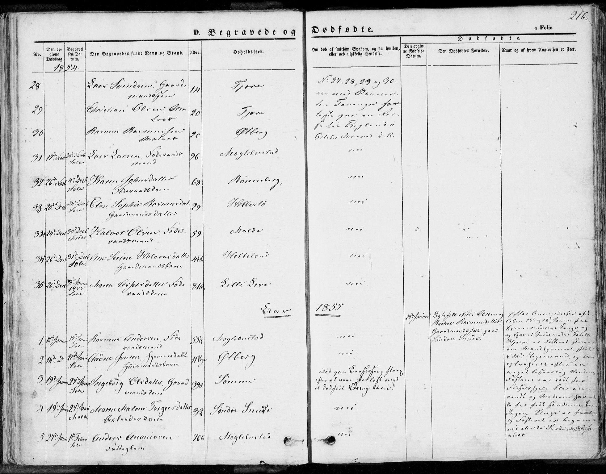 Håland sokneprestkontor, AV/SAST-A-101802/001/30BA/L0008: Parish register (official) no. A 7.2, 1854-1870, p. 216