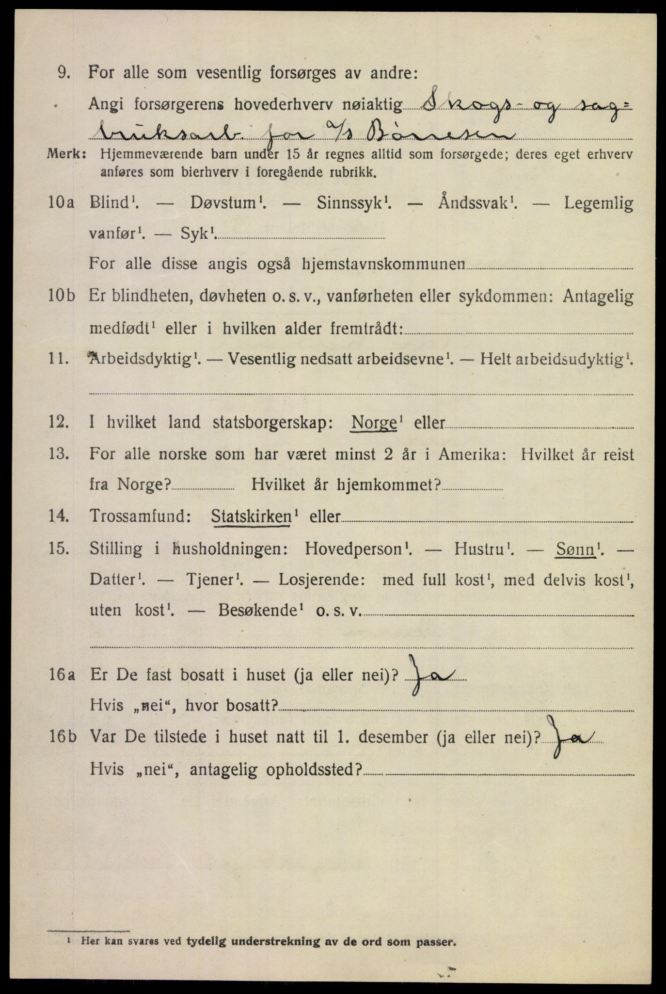 SAKO, 1920 census for Lier, 1920, p. 18503