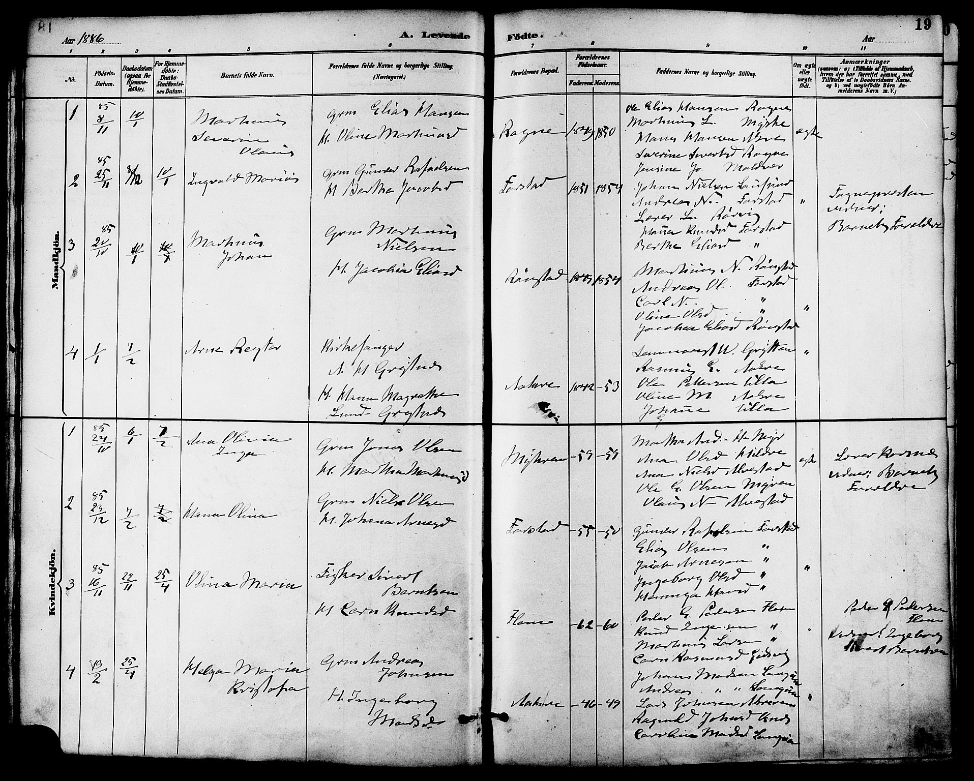 Ministerialprotokoller, klokkerbøker og fødselsregistre - Møre og Romsdal, AV/SAT-A-1454/536/L0501: Parish register (official) no. 536A10, 1884-1896, p. 19