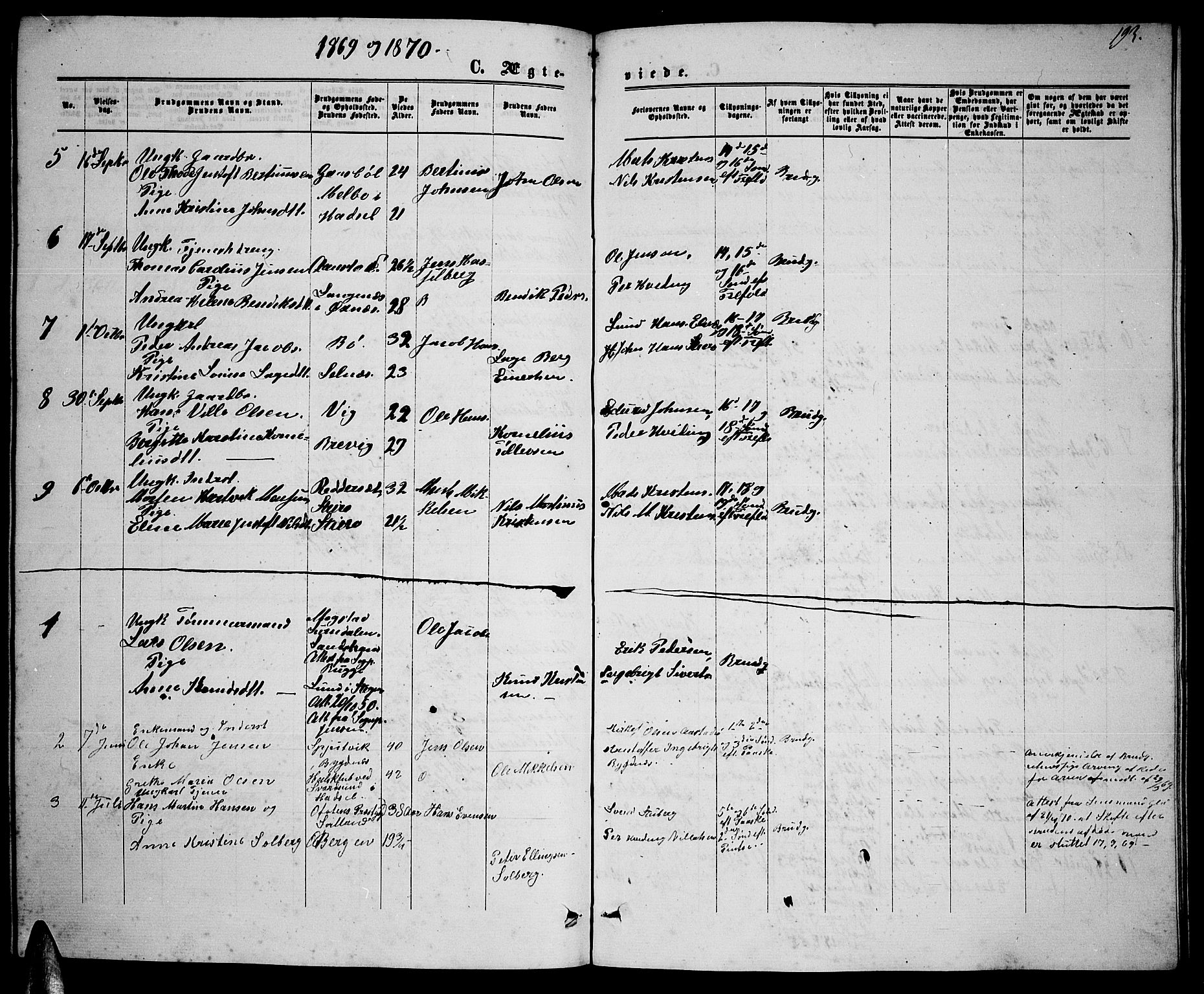 Ministerialprotokoller, klokkerbøker og fødselsregistre - Nordland, AV/SAT-A-1459/895/L1381: Parish register (copy) no. 895C03, 1864-1885, p. 193