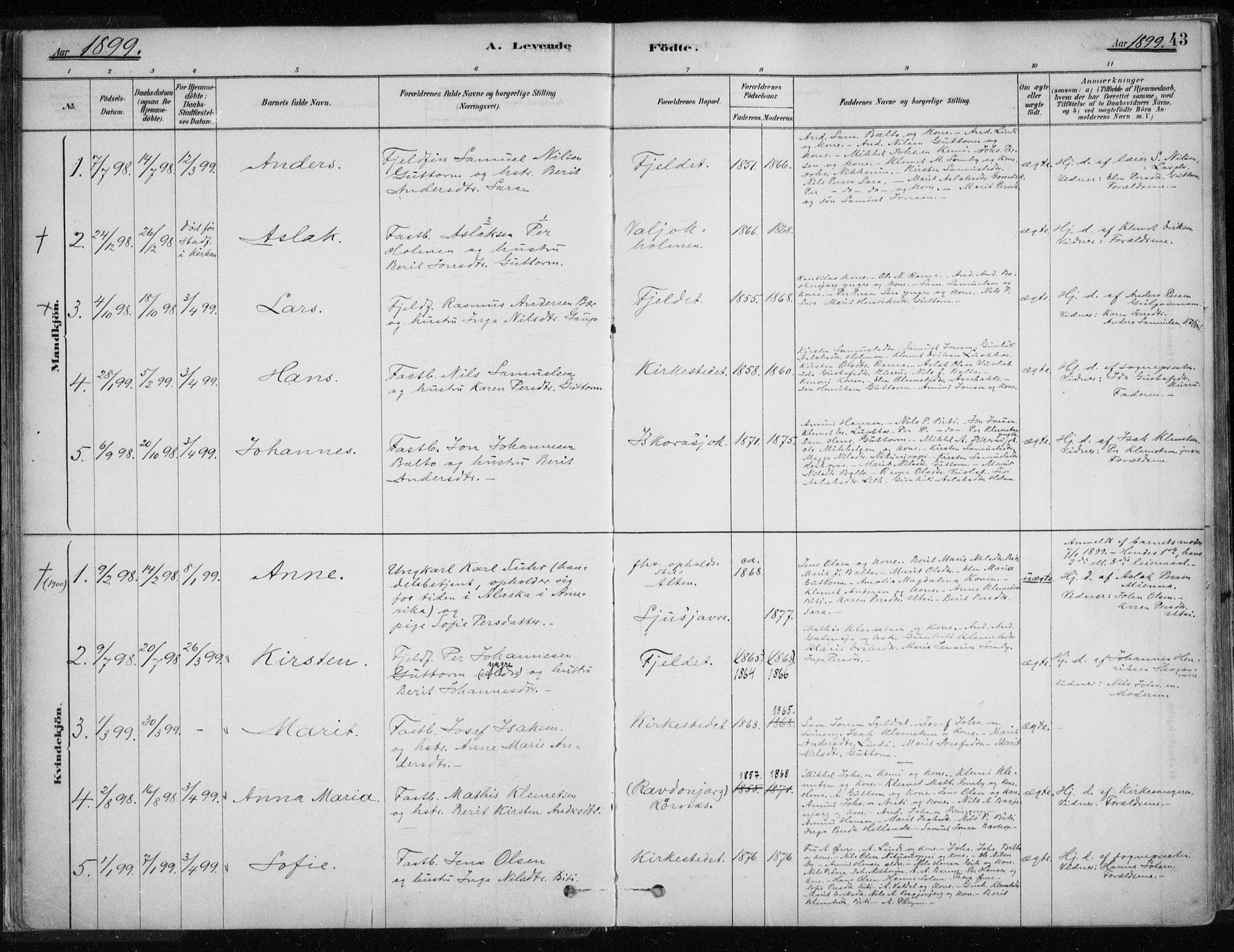 Karasjok sokneprestkontor, AV/SATØ-S-1352/H/Ha/L0002kirke: Parish register (official) no. 2, 1885-1906, p. 43