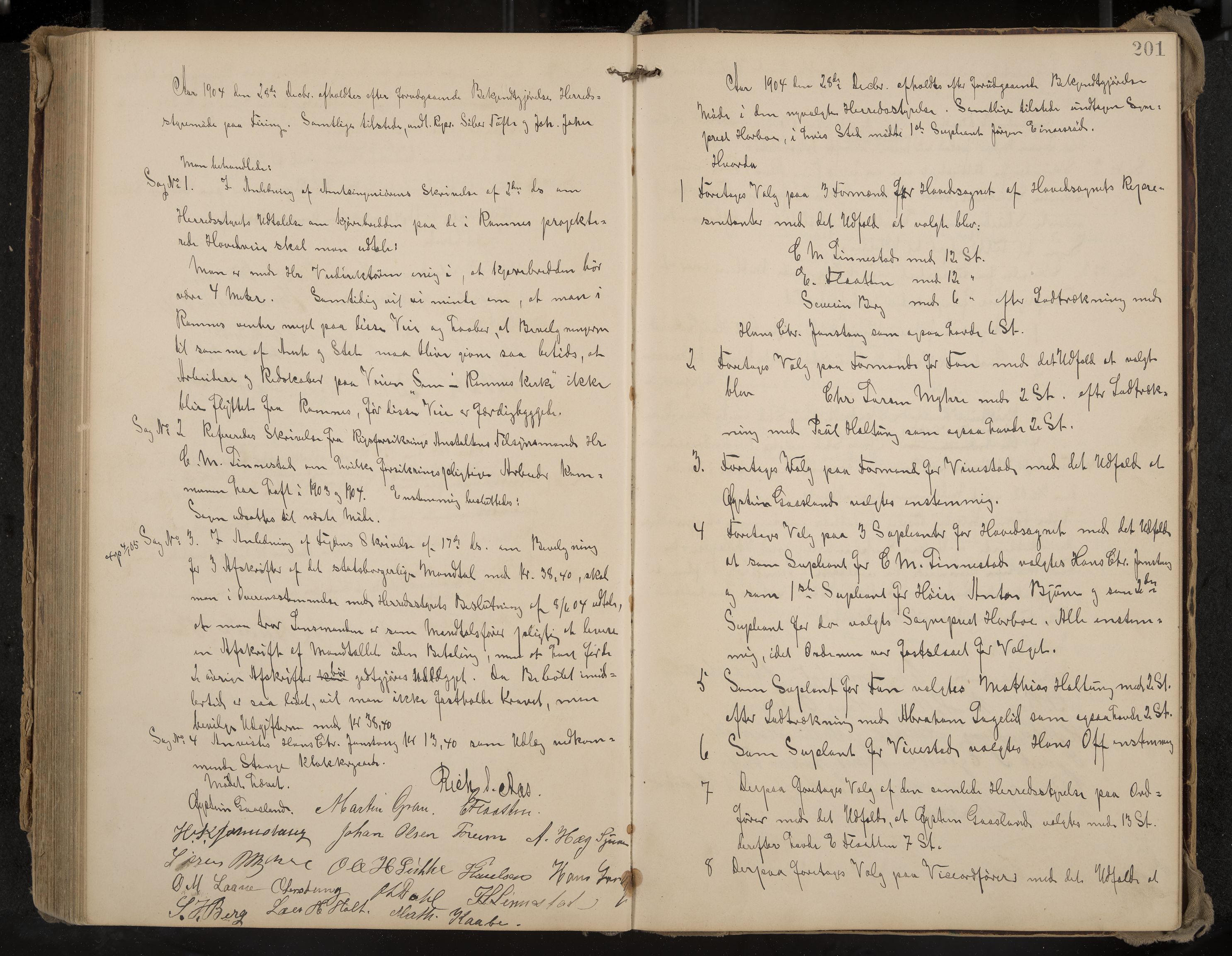 Ramnes formannskap og sentraladministrasjon, IKAK/0718021/A/Aa/L0004: Møtebok, 1892-1907, p. 201
