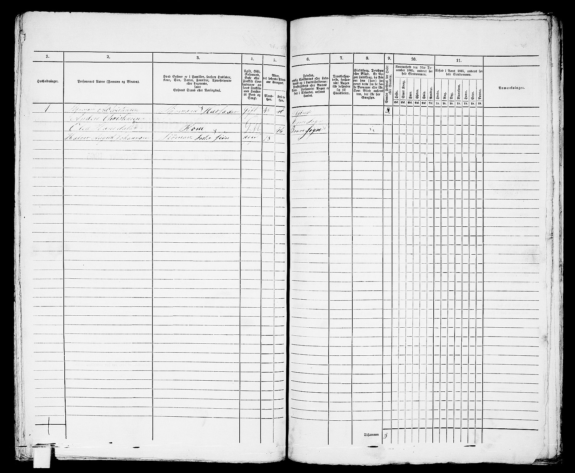 RA, 1865 census for Horten, 1865, p. 360