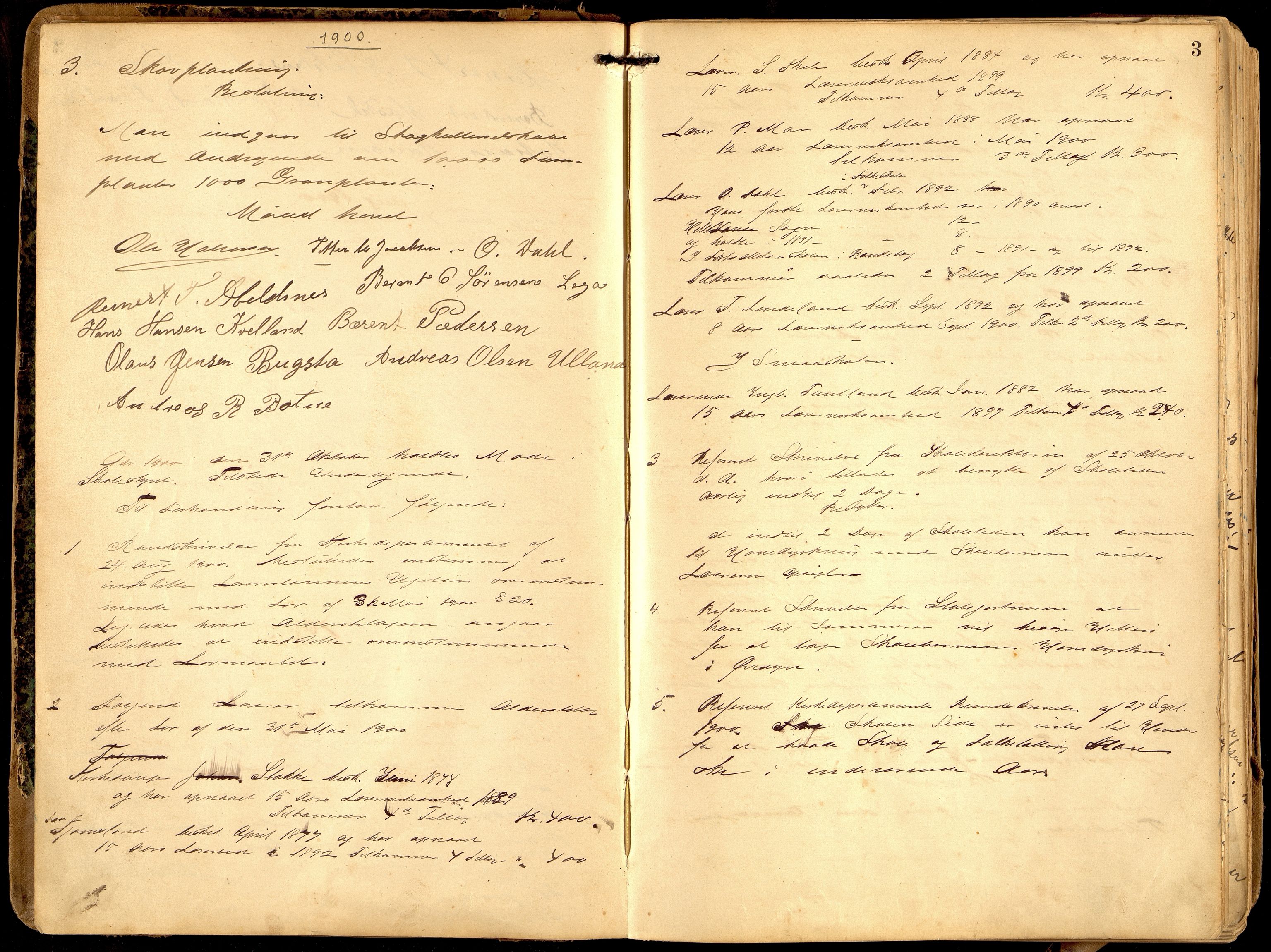 Hidra kommune - Skolestyret, ARKSOR/1004HI510/A/L0002: Møtebok, 1900-1932, p. 2b-3a