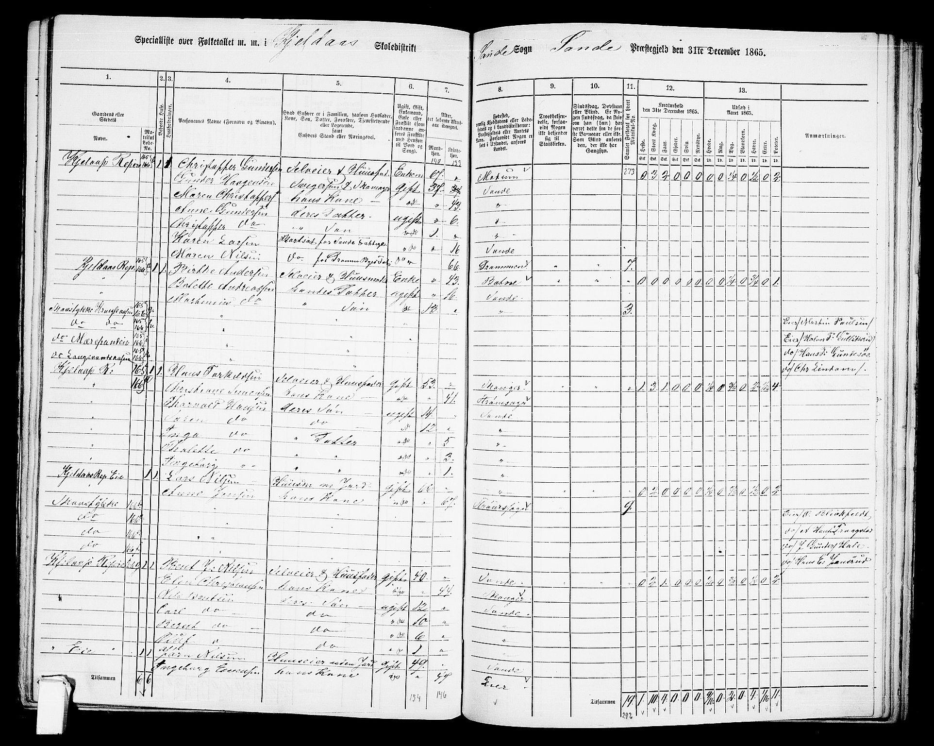 RA, 1865 census for Sande, 1865, p. 96