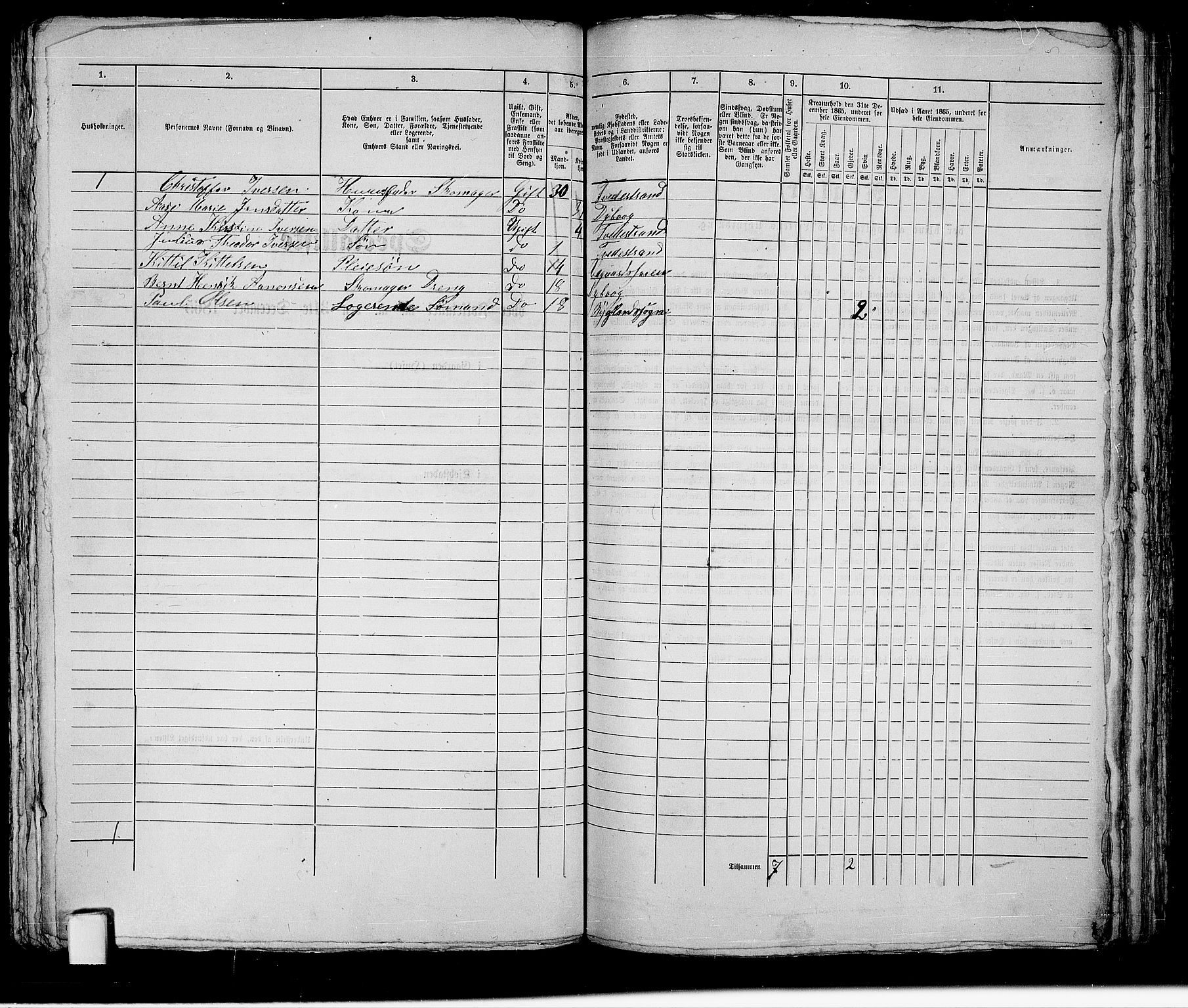 RA, 1865 census for Holt/Tvedestrand, 1865, p. 224