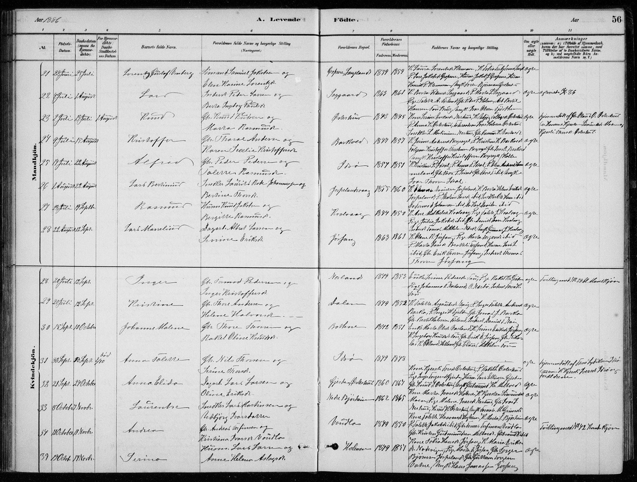 Strand sokneprestkontor, SAST/A-101828/H/Ha/Hab/L0004: Parish register (copy) no. B 4, 1878-1903, p. 56