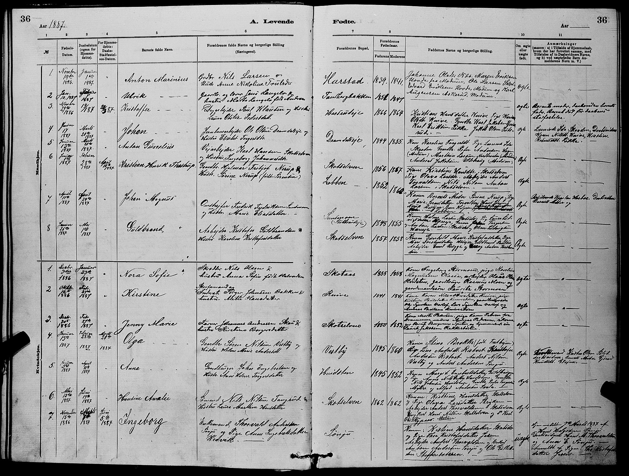Eiker kirkebøker, AV/SAKO-A-4/G/Gb/L0003: Parish register (copy) no. II 3, 1880-1893, p. 36