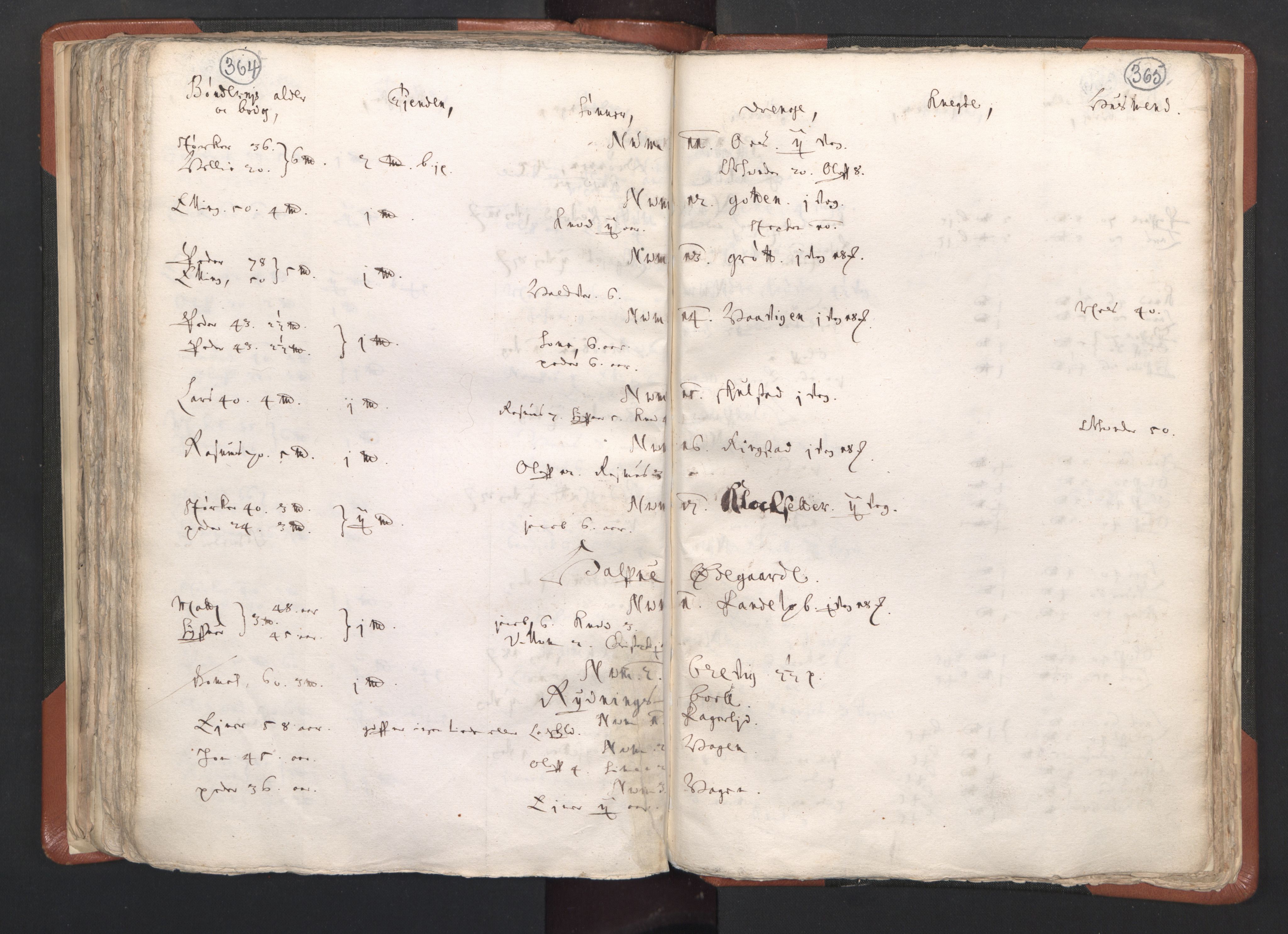 RA, Vicar's Census 1664-1666, no. 26: Sunnmøre deanery, 1664-1666, p. 364-365