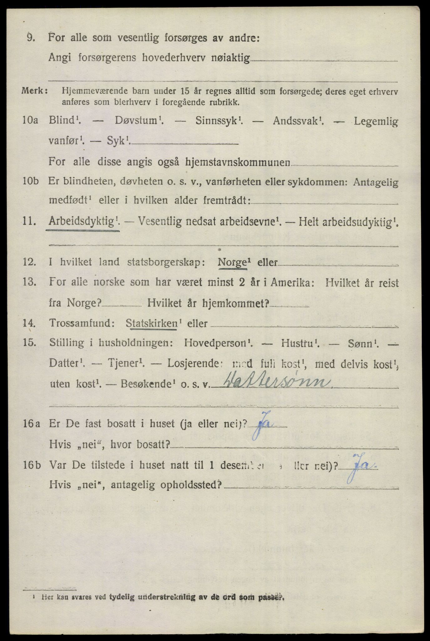 SAKO, 1920 census for Gol, 1920, p. 1215