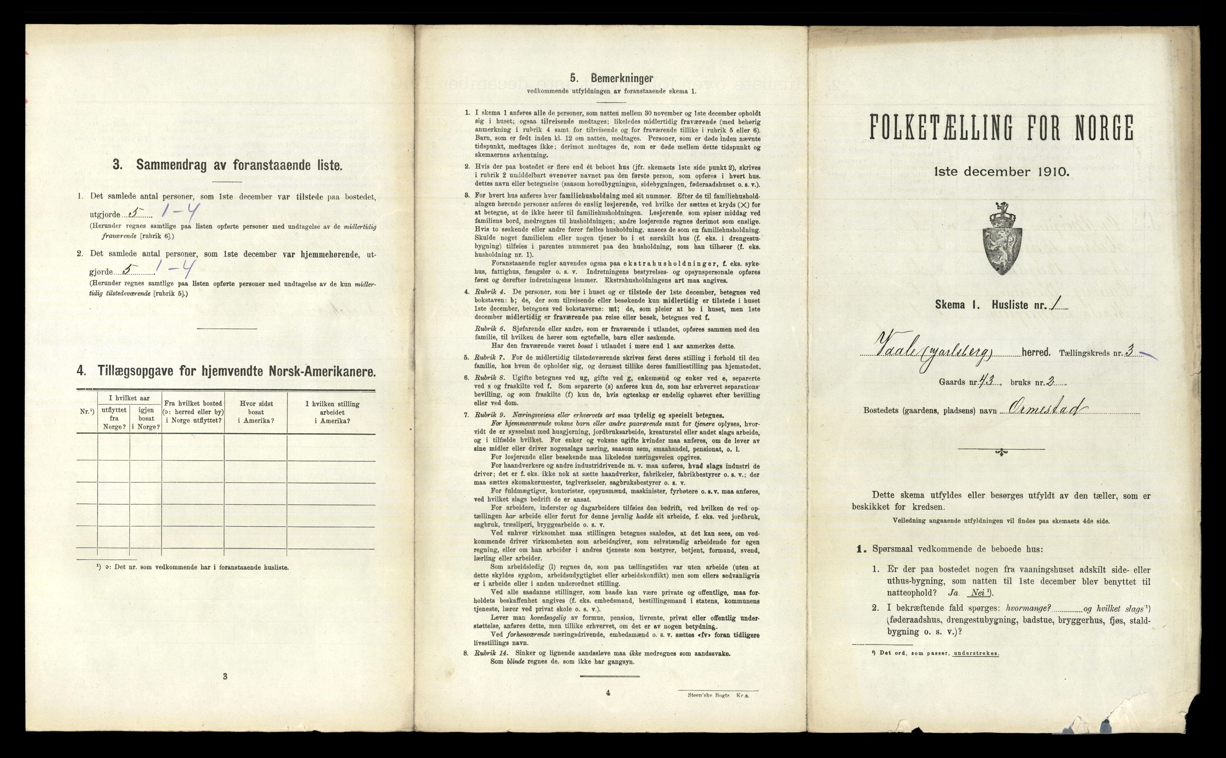 RA, 1910 census for Våle, 1910, p. 300