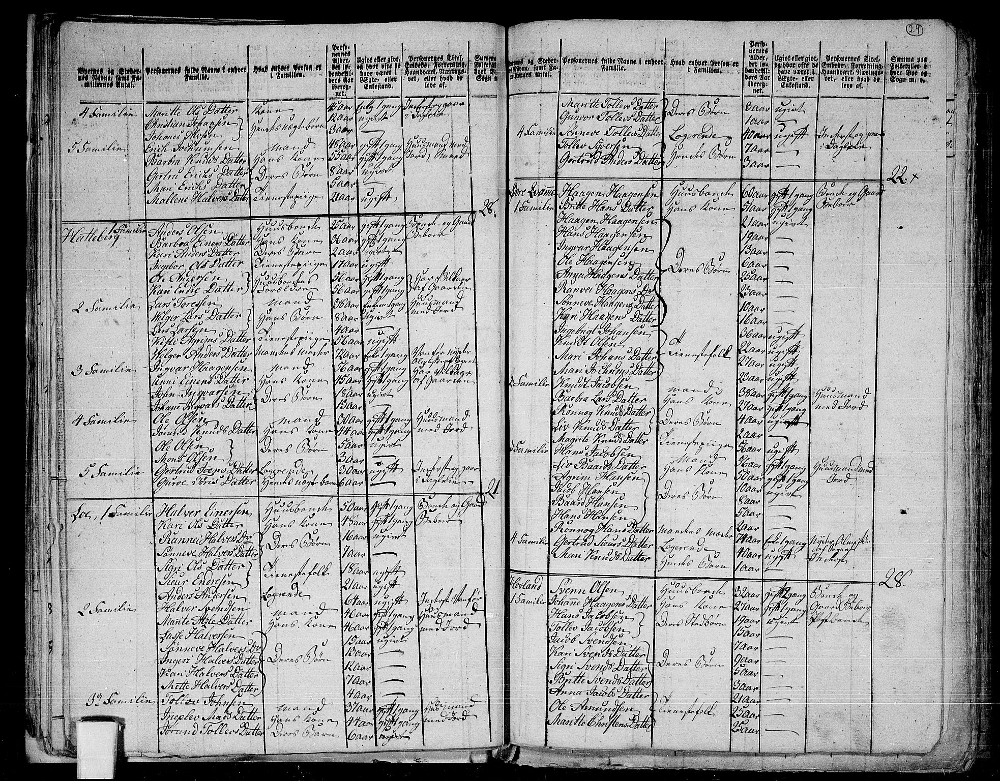 RA, 1801 census for 1422P Lærdal, 1801, p. 28b-29a