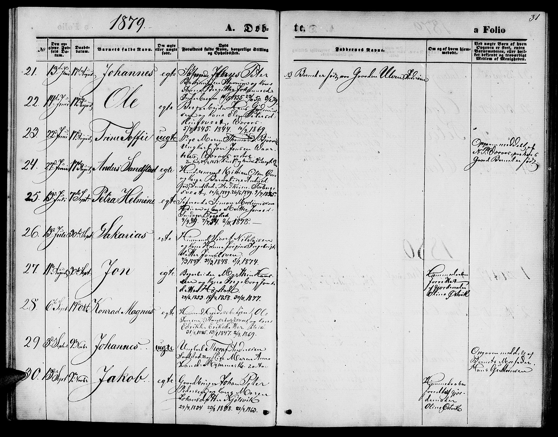 Ministerialprotokoller, klokkerbøker og fødselsregistre - Nord-Trøndelag, AV/SAT-A-1458/722/L0225: Parish register (copy) no. 722C01, 1871-1888, p. 31