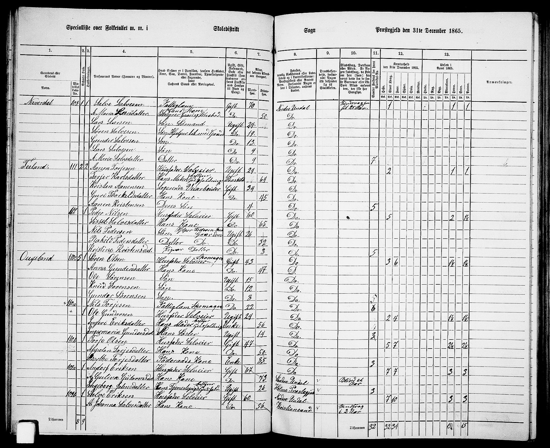 RA, 1865 census for Nord-Audnedal, 1865, p. 29