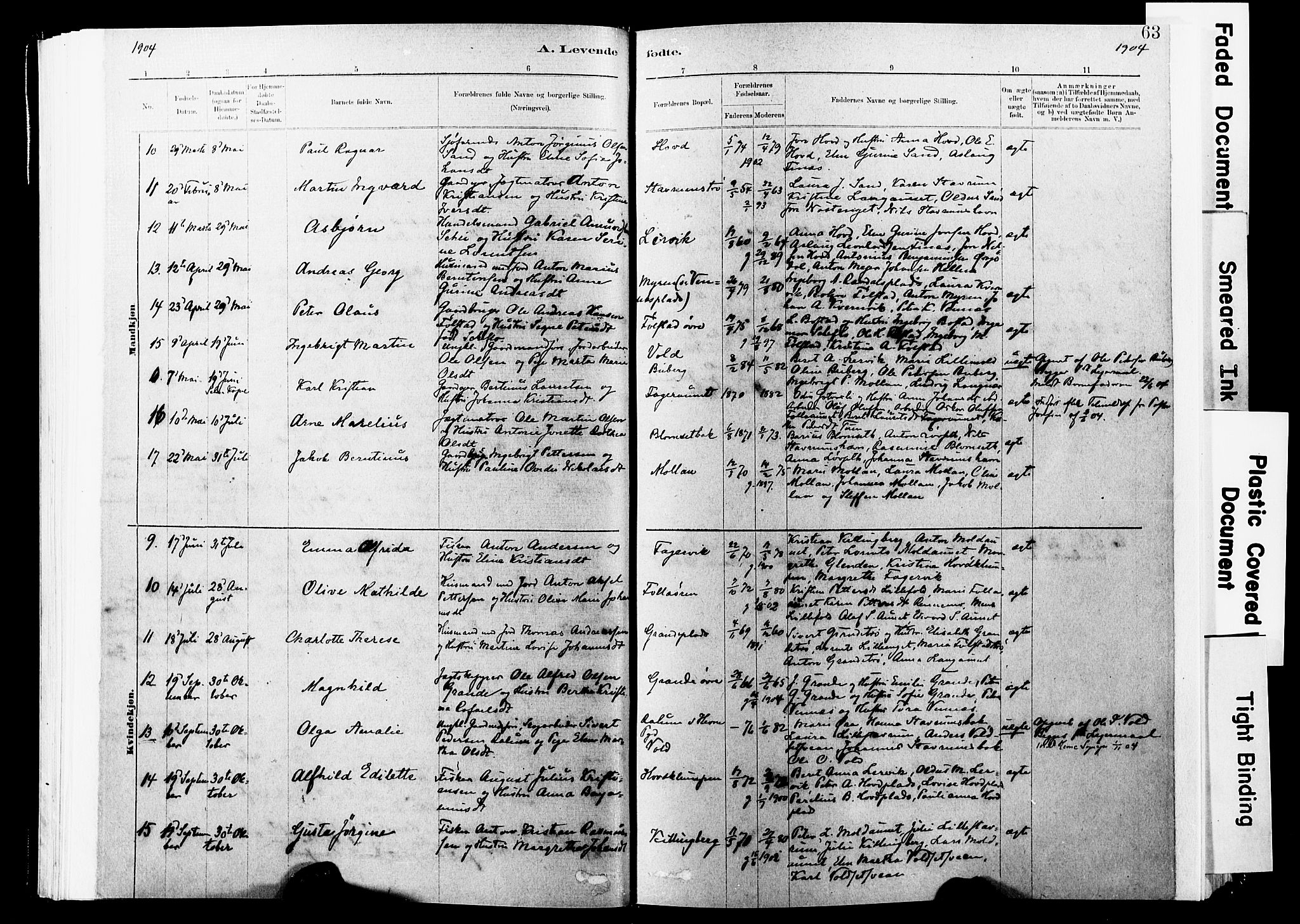 Ministerialprotokoller, klokkerbøker og fødselsregistre - Nord-Trøndelag, AV/SAT-A-1458/744/L0420: Parish register (official) no. 744A04, 1882-1904, p. 63