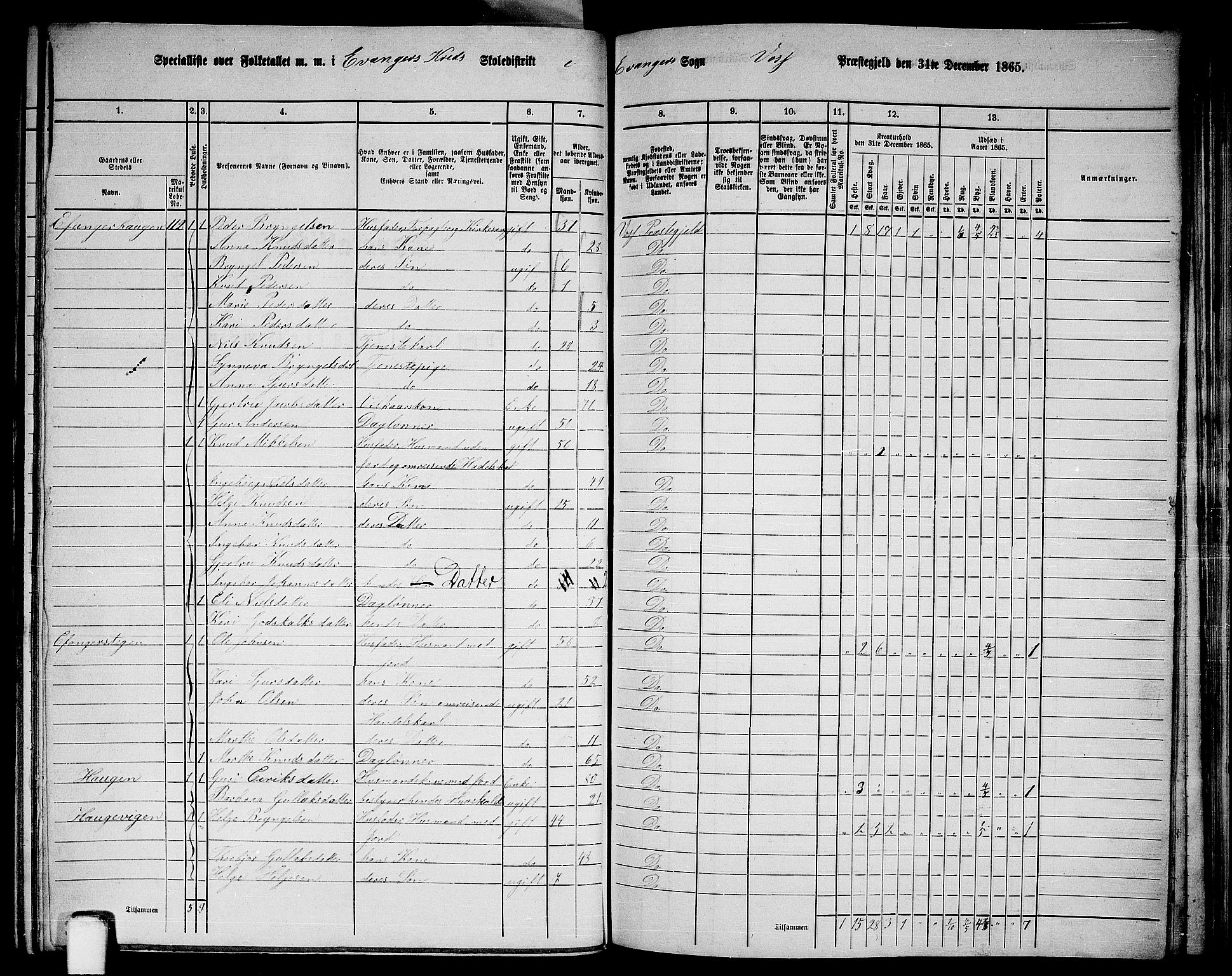 RA, 1865 census for Voss, 1865, p. 369