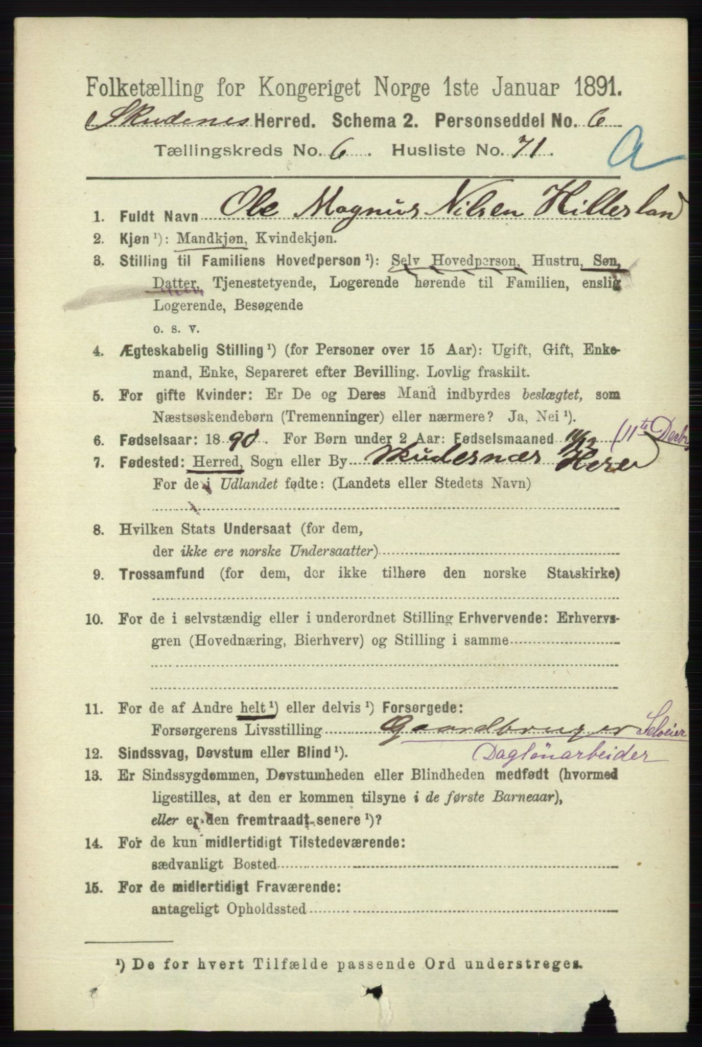 RA, 1891 census for 1150 Skudenes, 1891, p. 3343