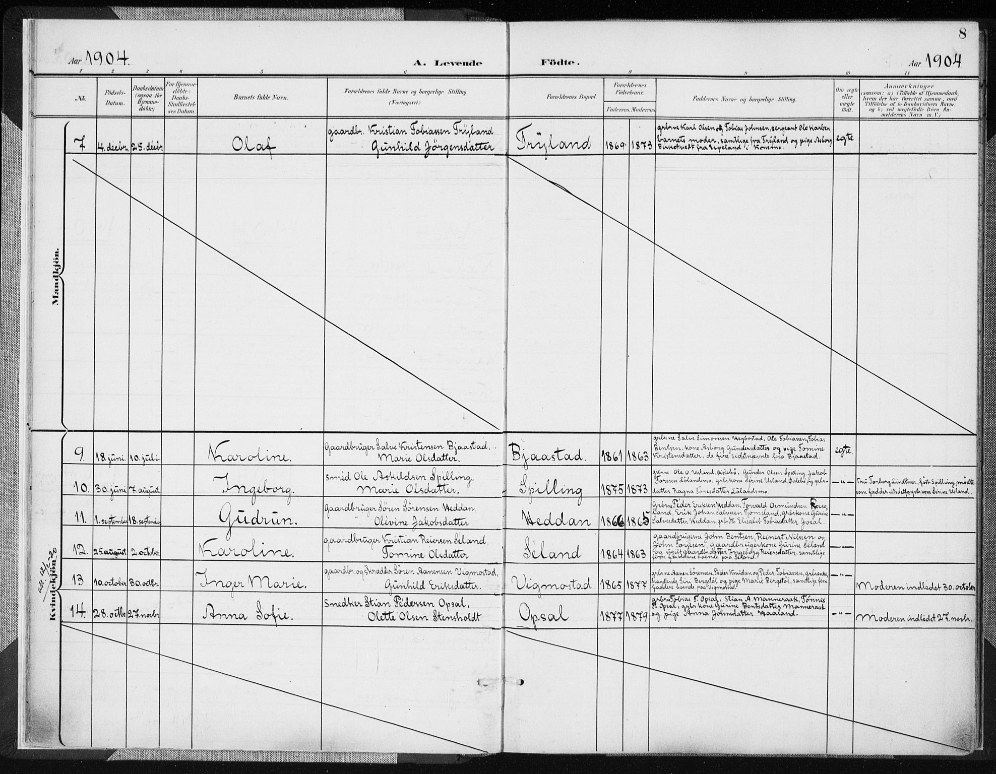 Nord-Audnedal sokneprestkontor, SAK/1111-0032/F/Fa/Fab/L0004: Parish register (official) no. A 4, 1901-1917, p. 8