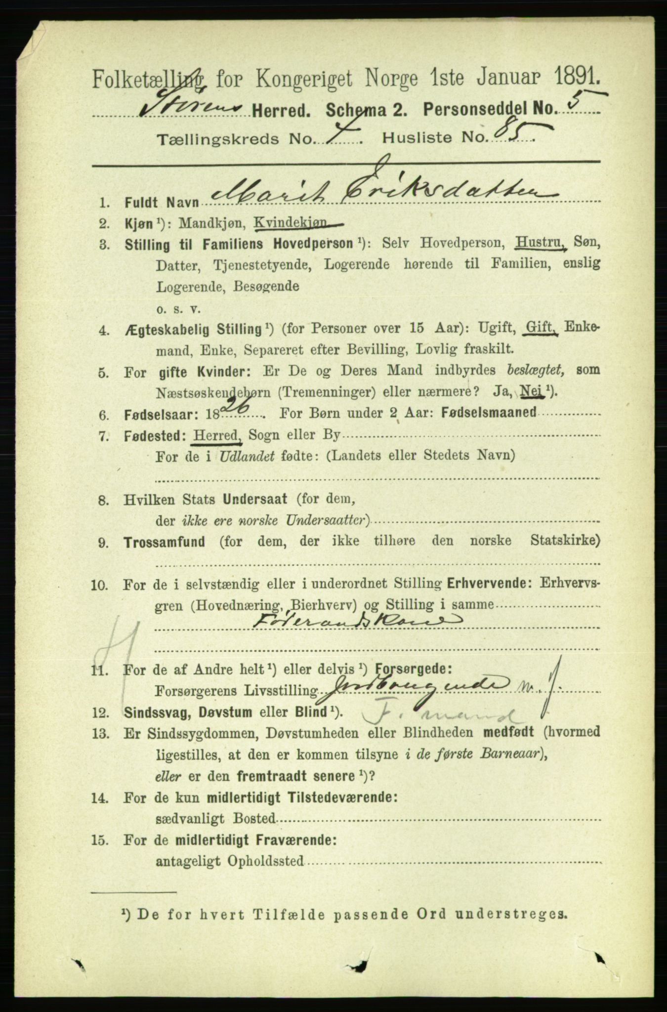 RA, 1891 census for 1648 Støren, 1891, p. 1873