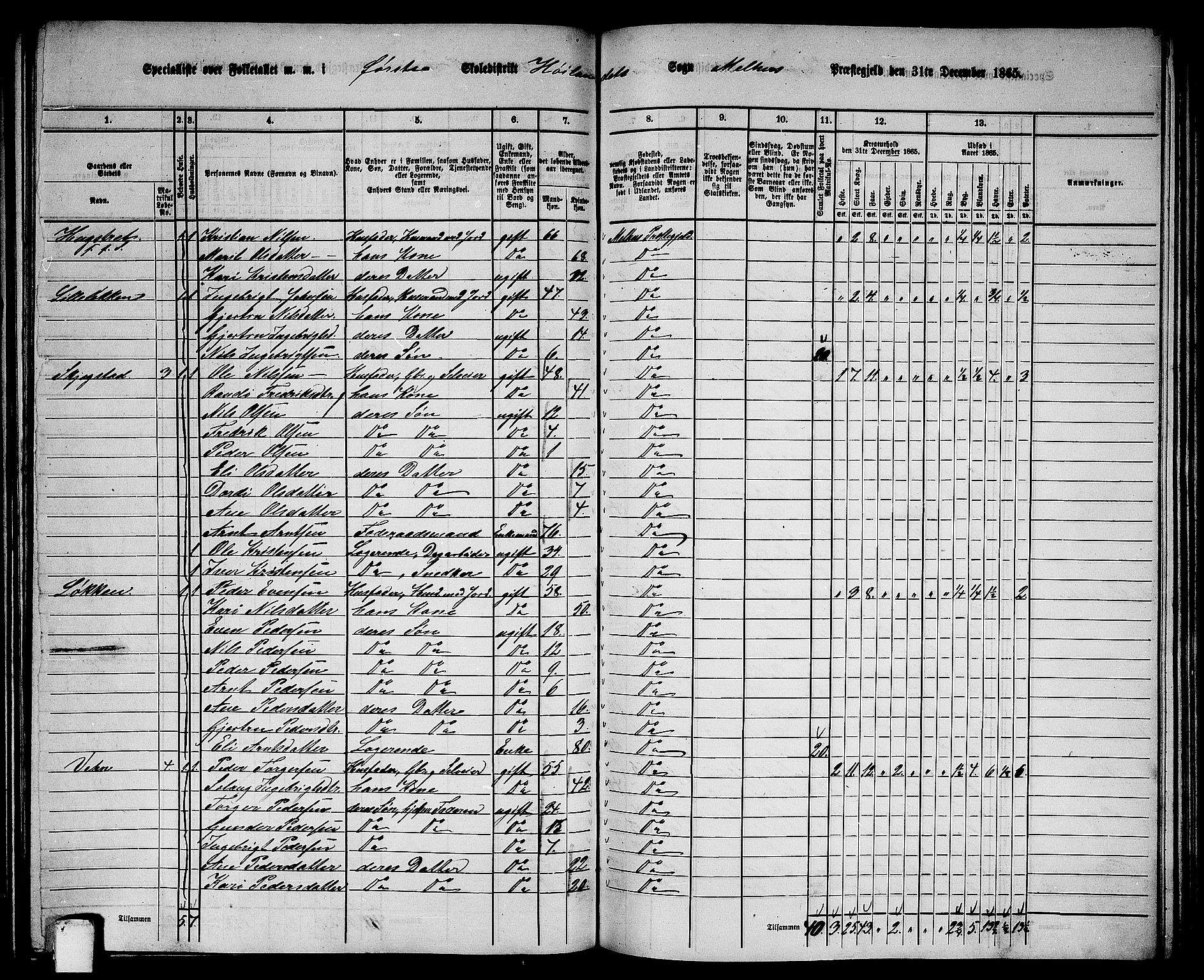 RA, 1865 census for Melhus, 1865, p. 157